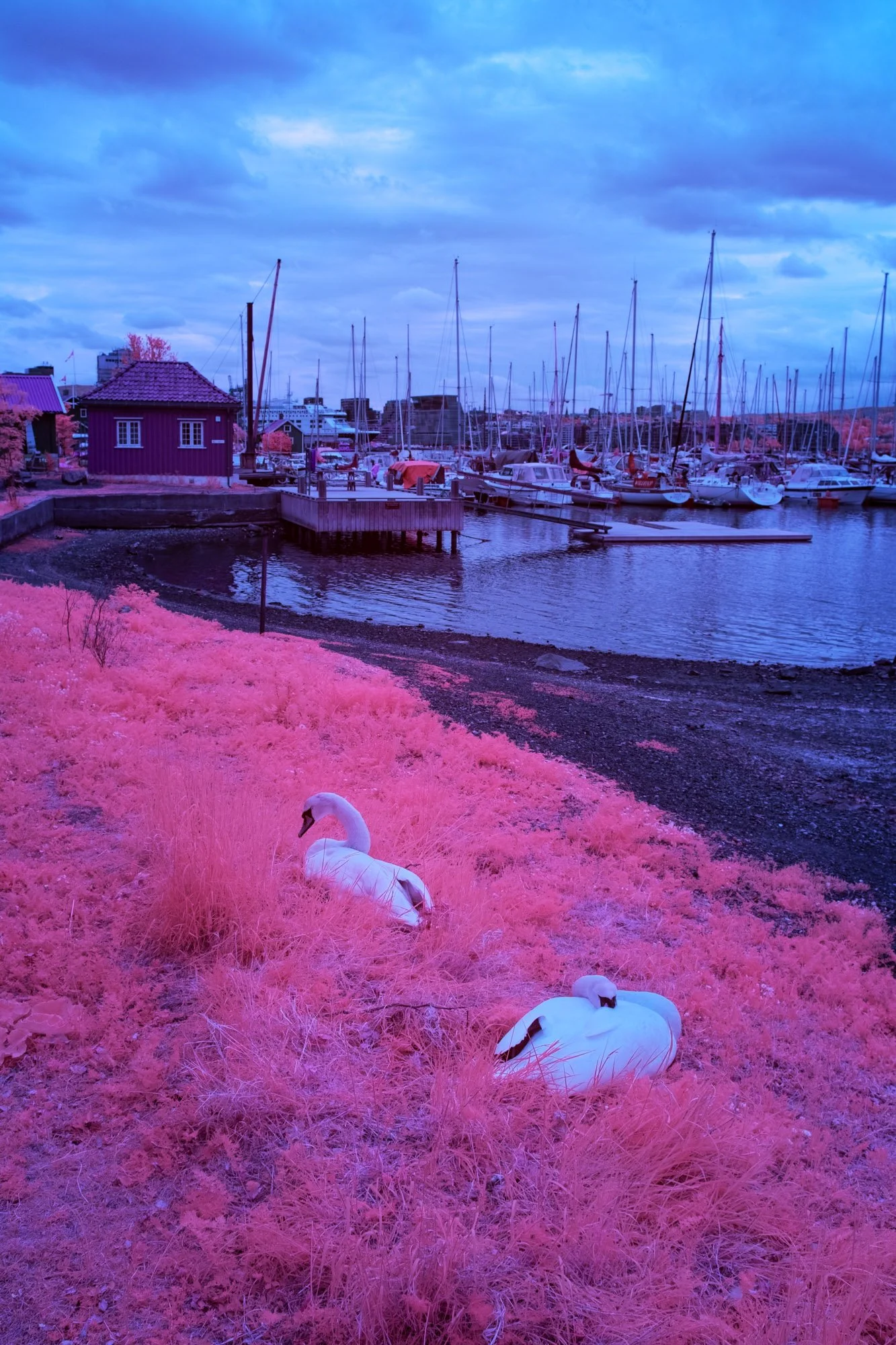 andre-wagner-the-infrared-journey-fine-art-photography-00669.jpg