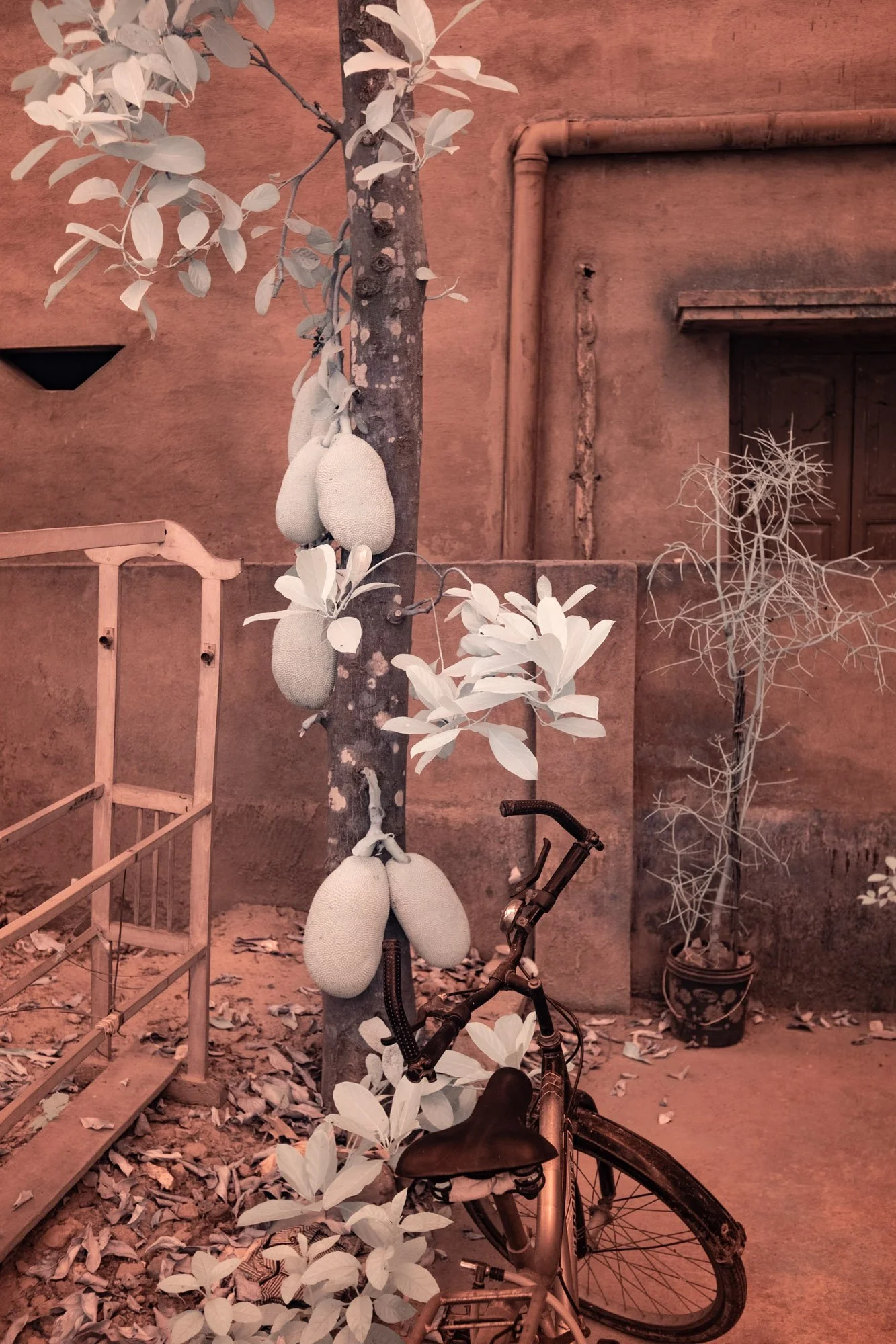 andre-wagner-the-infrared-journey-fine-art-photography-00428.jpg