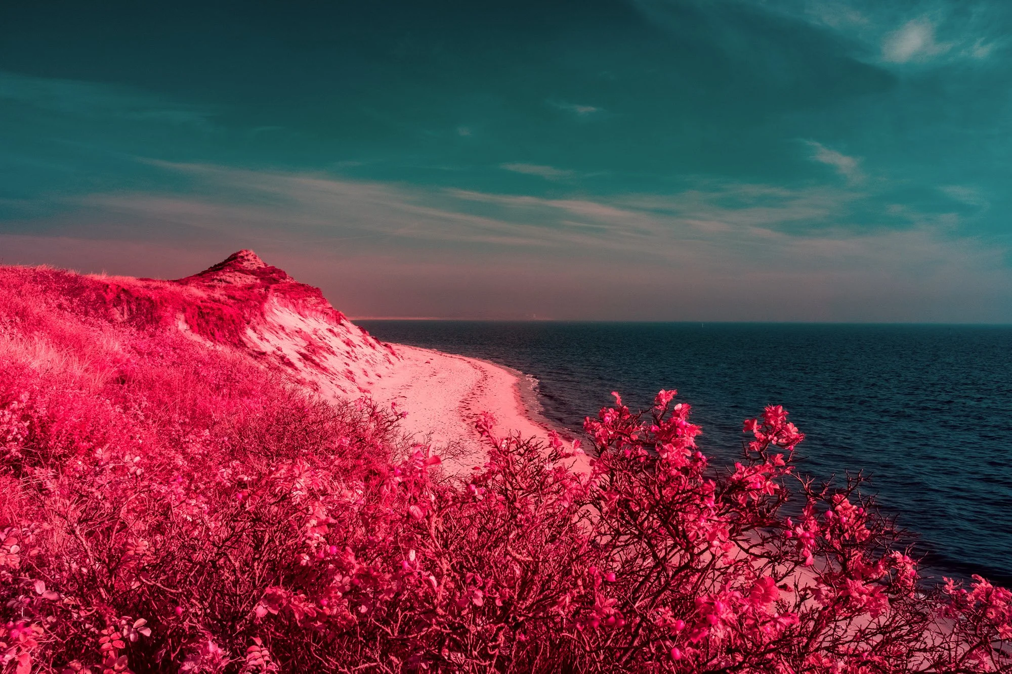 andre-wagner-the-infrared-journey-fine-art-photography-00618.jpg