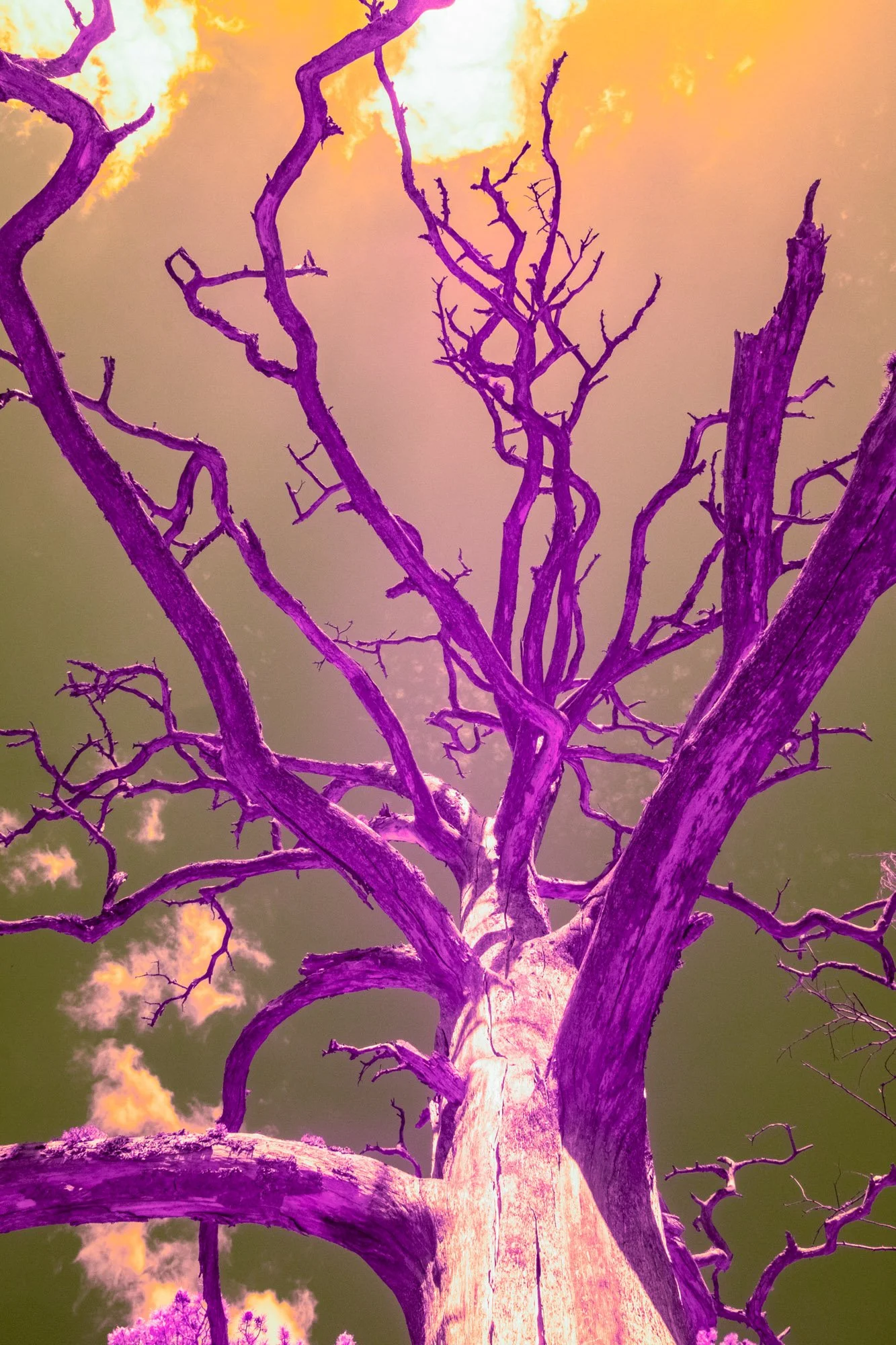 andre-wagner-the-infrared-journey-fine-art-photography-00346.jpg