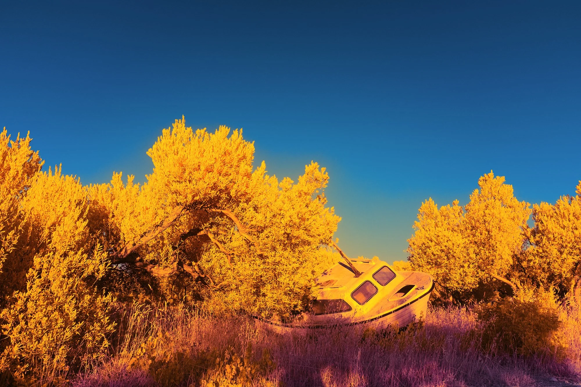 andre-wagner-the-infrared-journey-fine-art-photography-00478.jpg