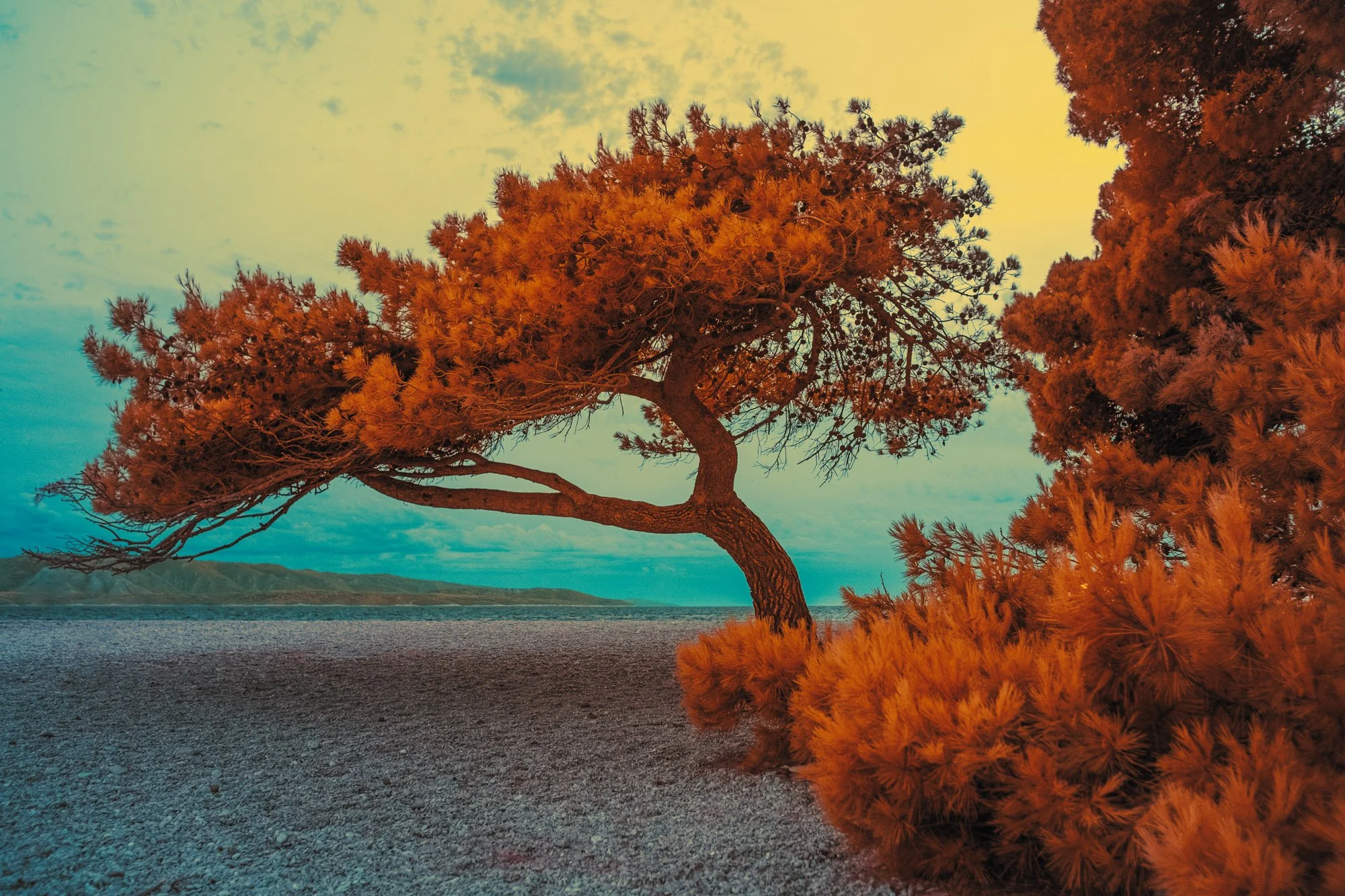 andre-wagner-the-infrared-journey-fine-art-photography-00390.jpg