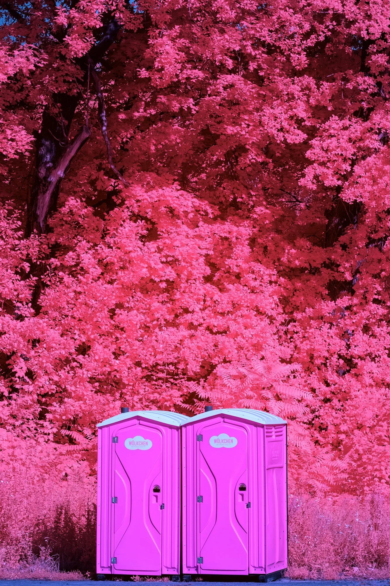 andre-wagner-the-infrared-journey-fine-art-photography-00504.jpg