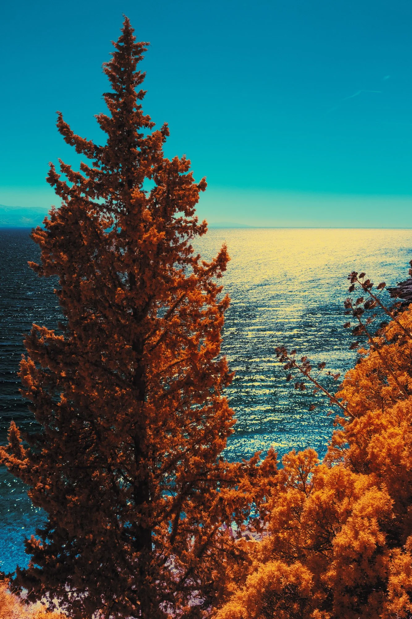 andre-wagner-the-infrared-journey-fine-art-photography-00443.jpg