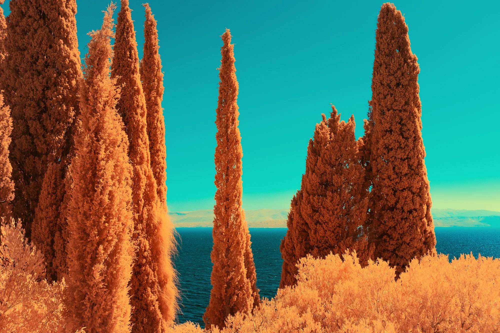 andre-wagner-the-infrared-journey-fine-art-photography-00442.jpg