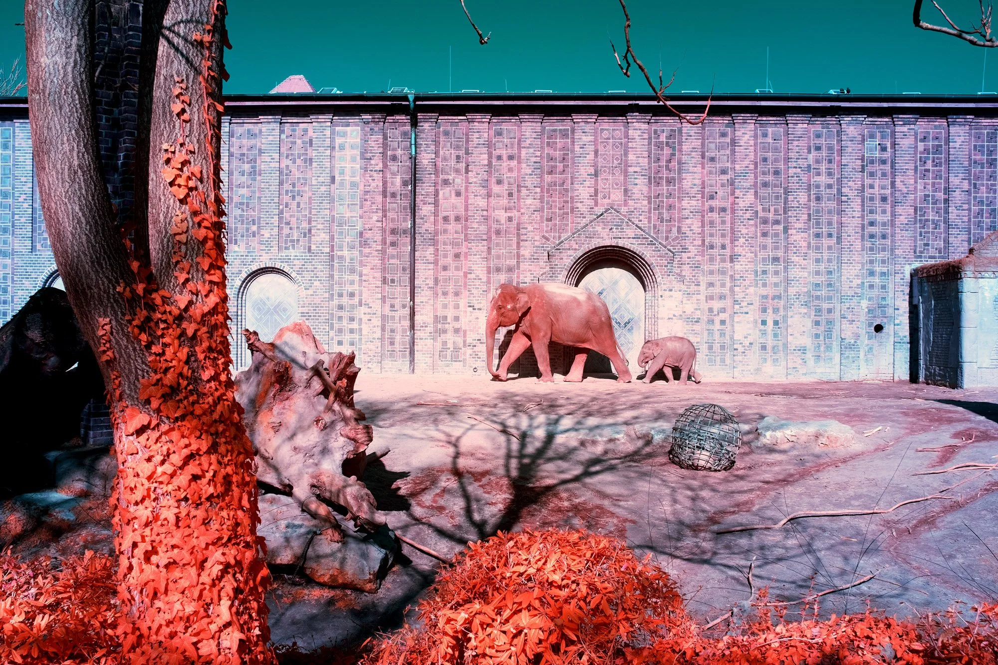andre-wagner-the-infrared-journey-fine-art-photography-00656.jpg