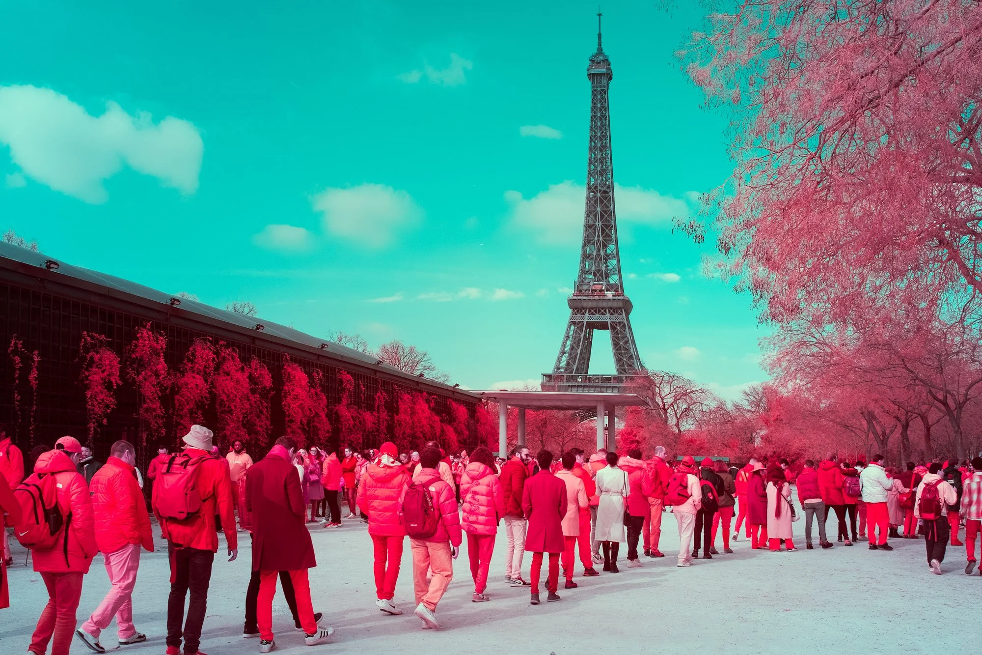andre-wagner-the-infrared-journey-fine-art-photography-00696.jpg