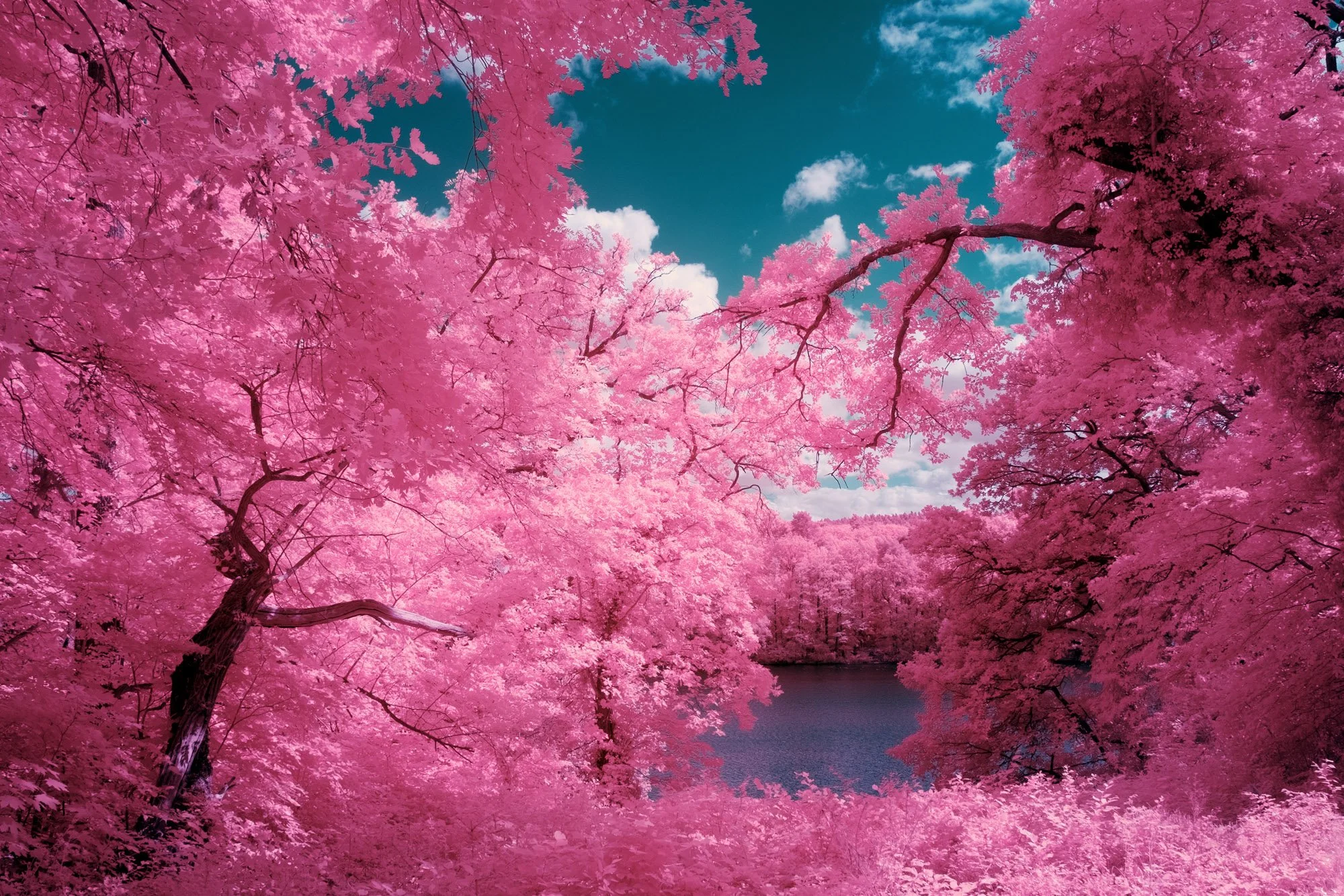 andre-wagner-the-infrared-journey-fine-art-photography-00258.jpg