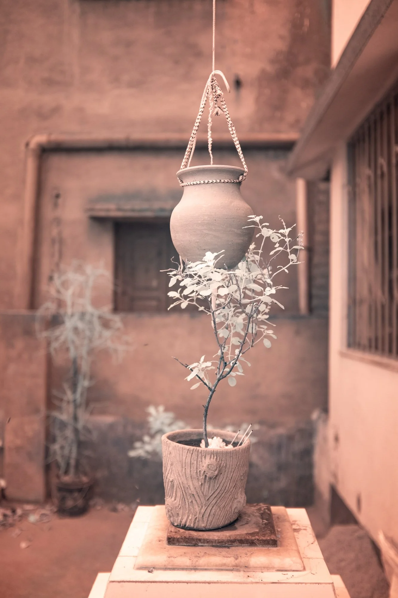 andre-wagner-the-infrared-journey-fine-art-photography-00426.jpg