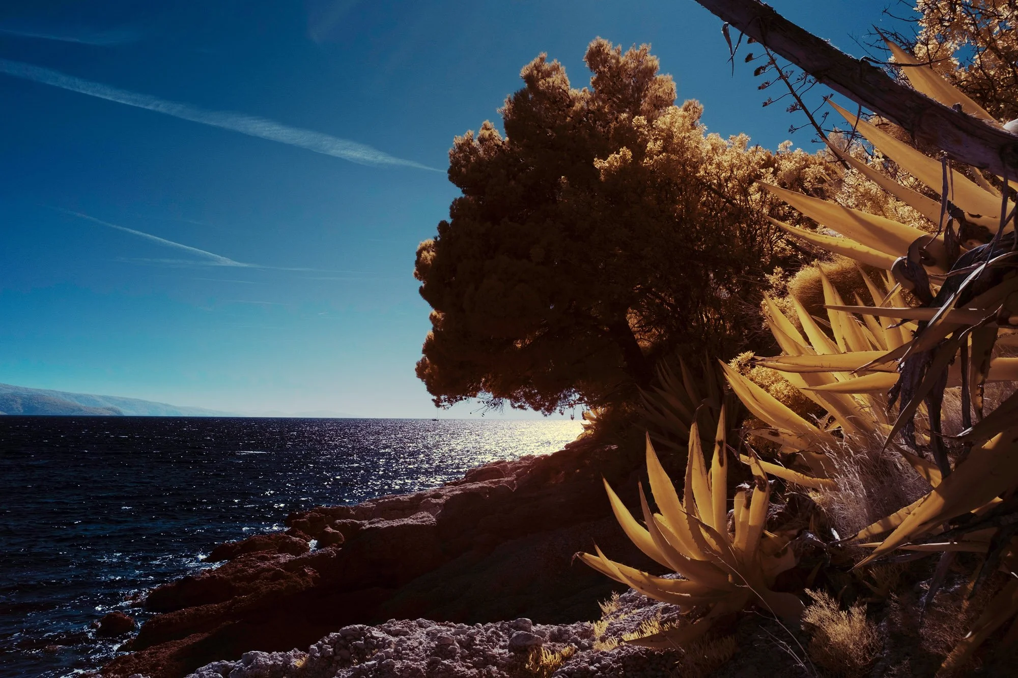 andre-wagner-the-infrared-journey-fine-art-photography-00472.jpg