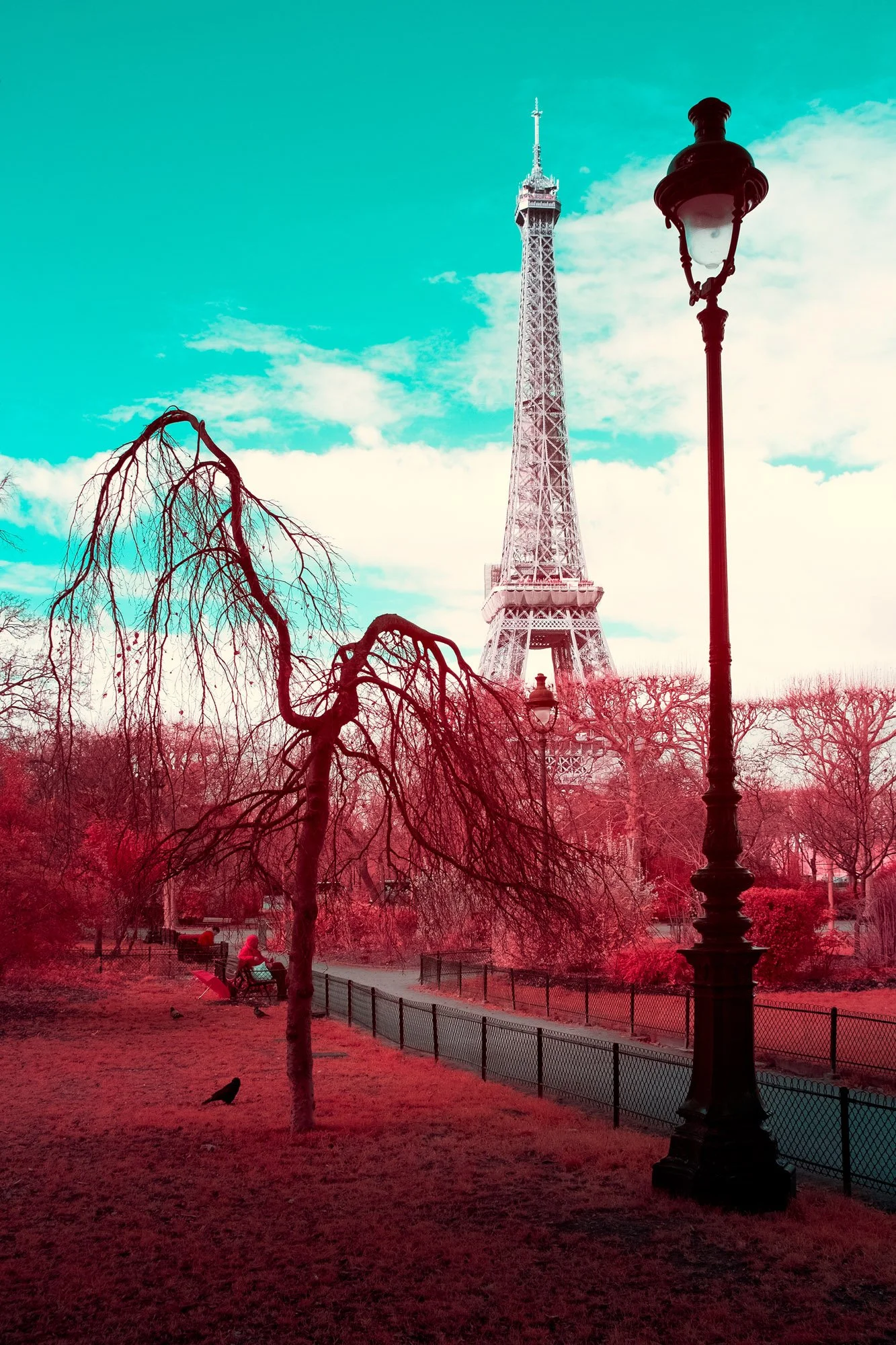 andre-wagner-the-infrared-journey-fine-art-photography-00256.jpg