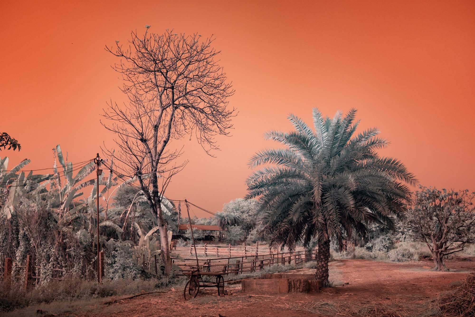 andre-wagner-the-infrared-journey-fine-art-photography-00473.jpg