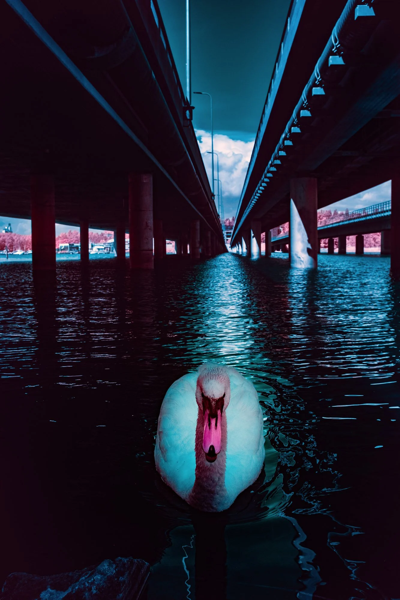 andre-wagner-the-infrared-journey-fine-art-photography-00340.jpg