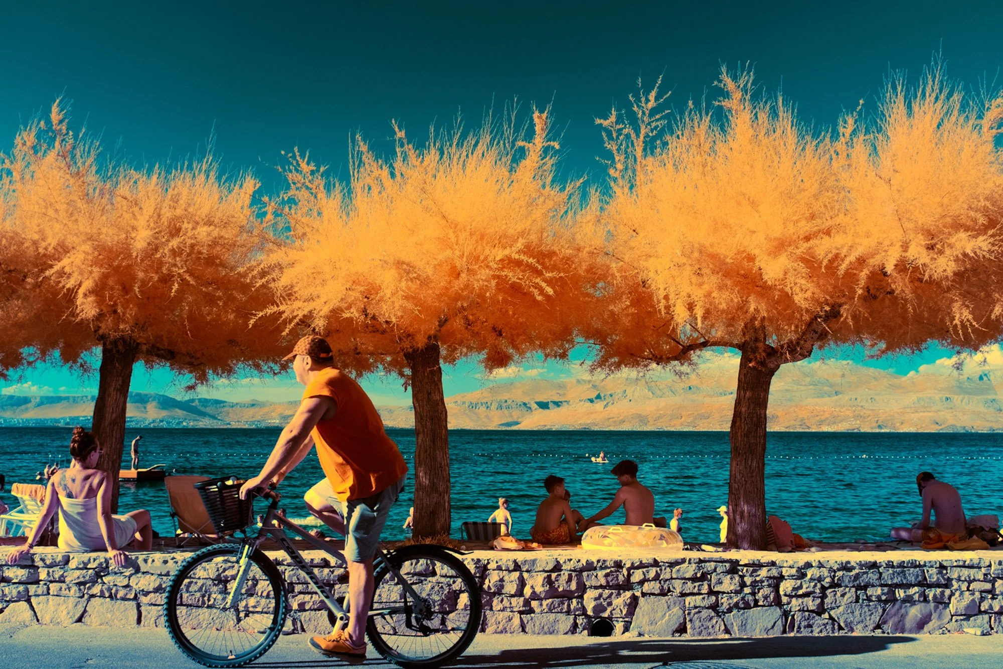 andre-wagner-the-infrared-journey-fine-art-photography-00476.jpg