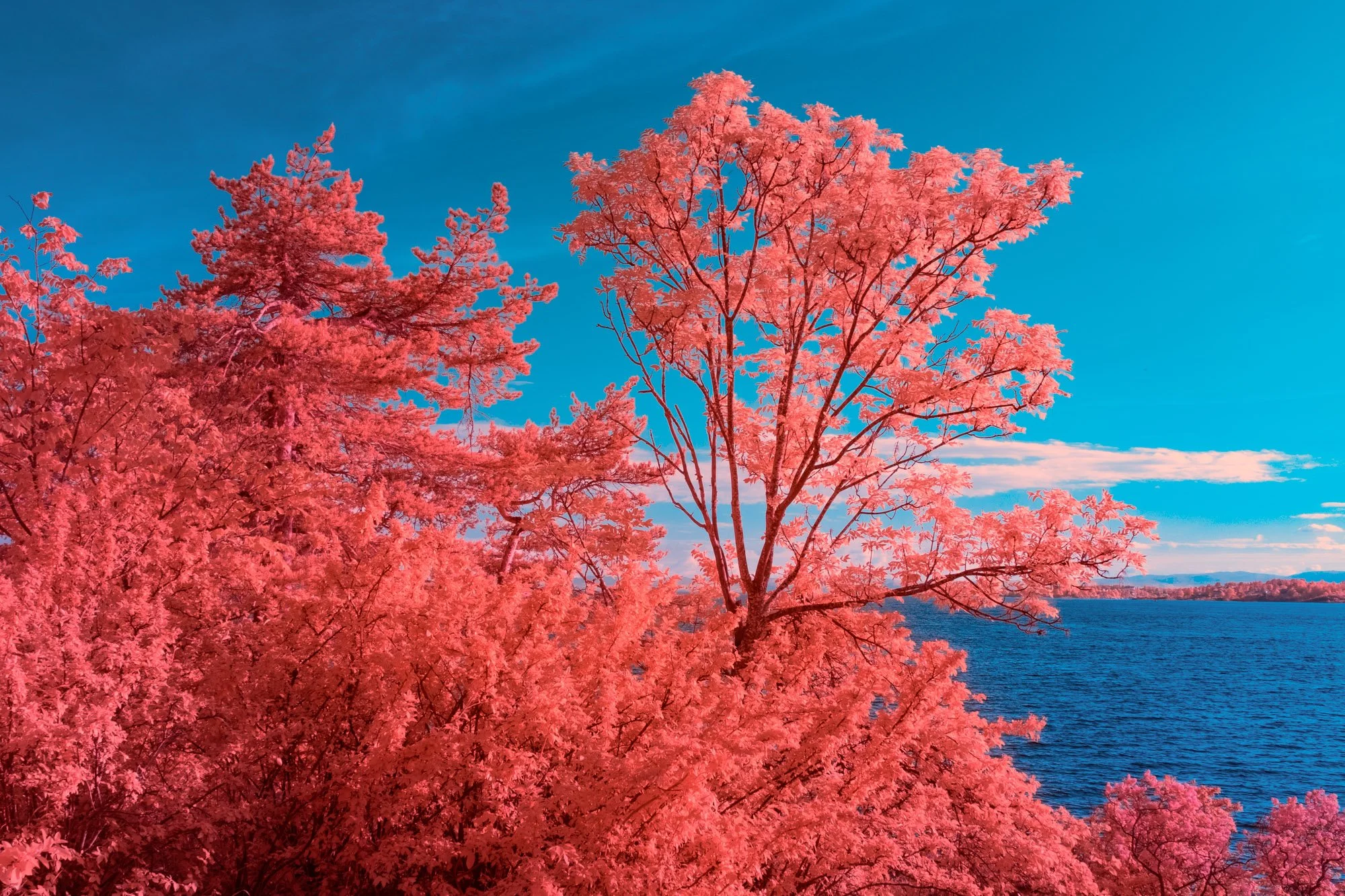 andre-wagner-the-infrared-journey-fine-art-photography-00674.jpg