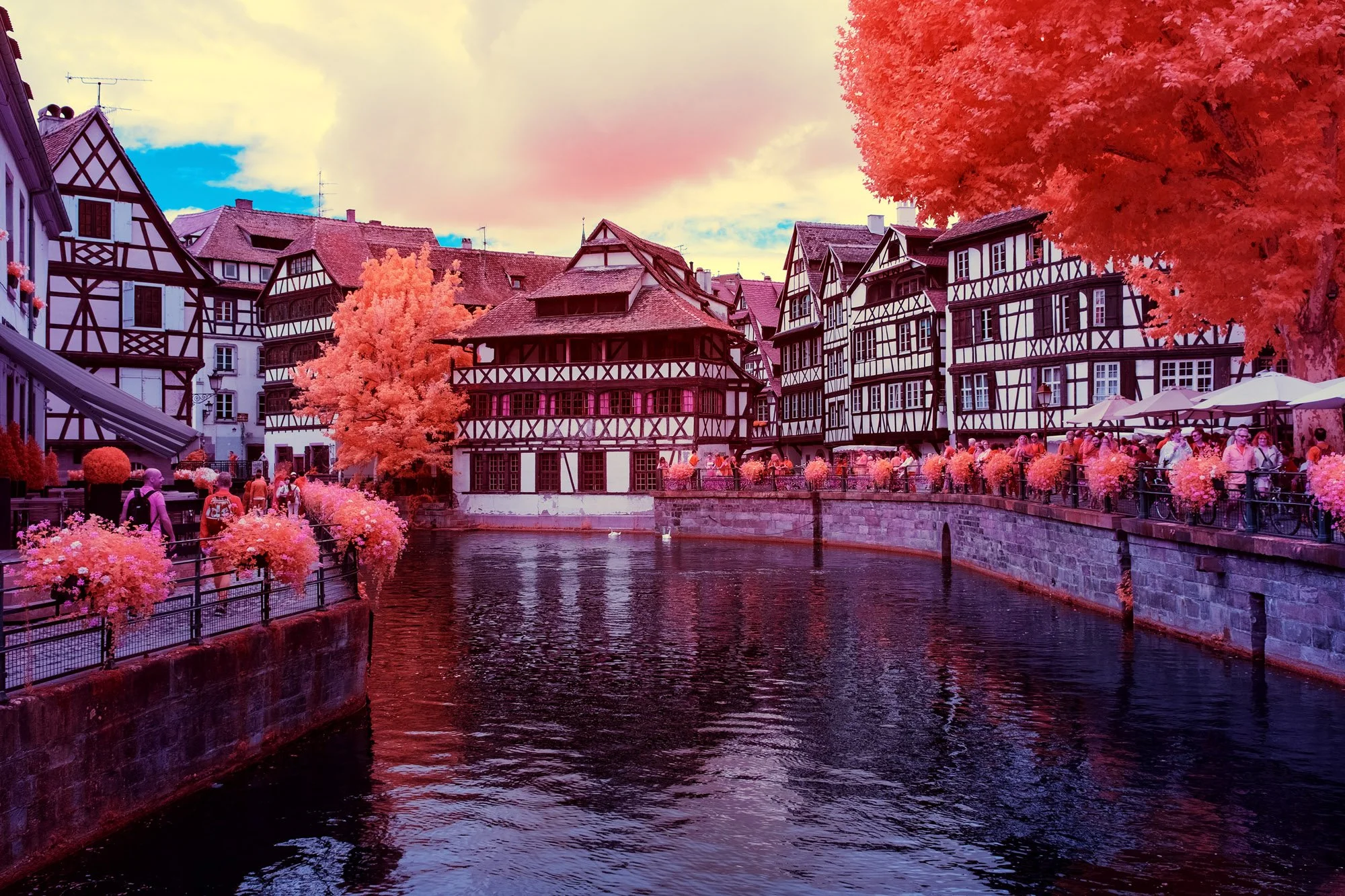 andre-wagner-the-infrared-journey-fine-art-photography-00260.jpg