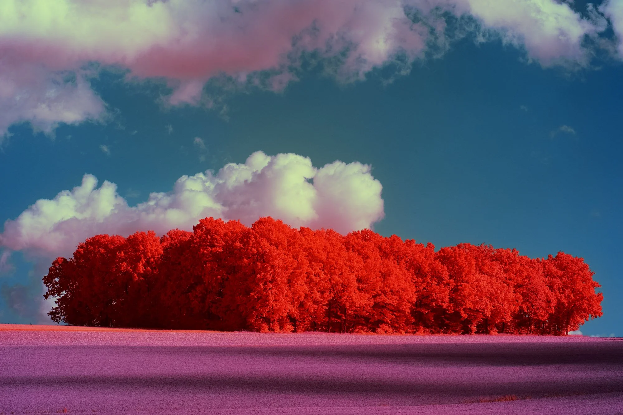 andre-wagner-the-infrared-journey-fine-art-photography-00261.jpg