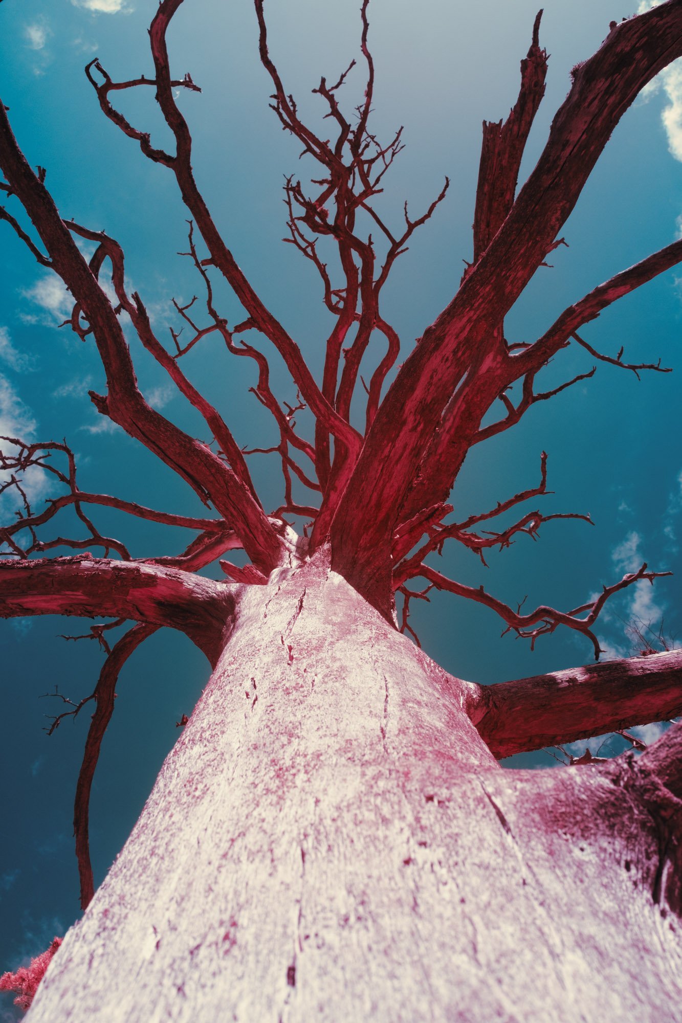 andre-wagner-the-infrared-journey-fine-art-photography-00351.jpg
