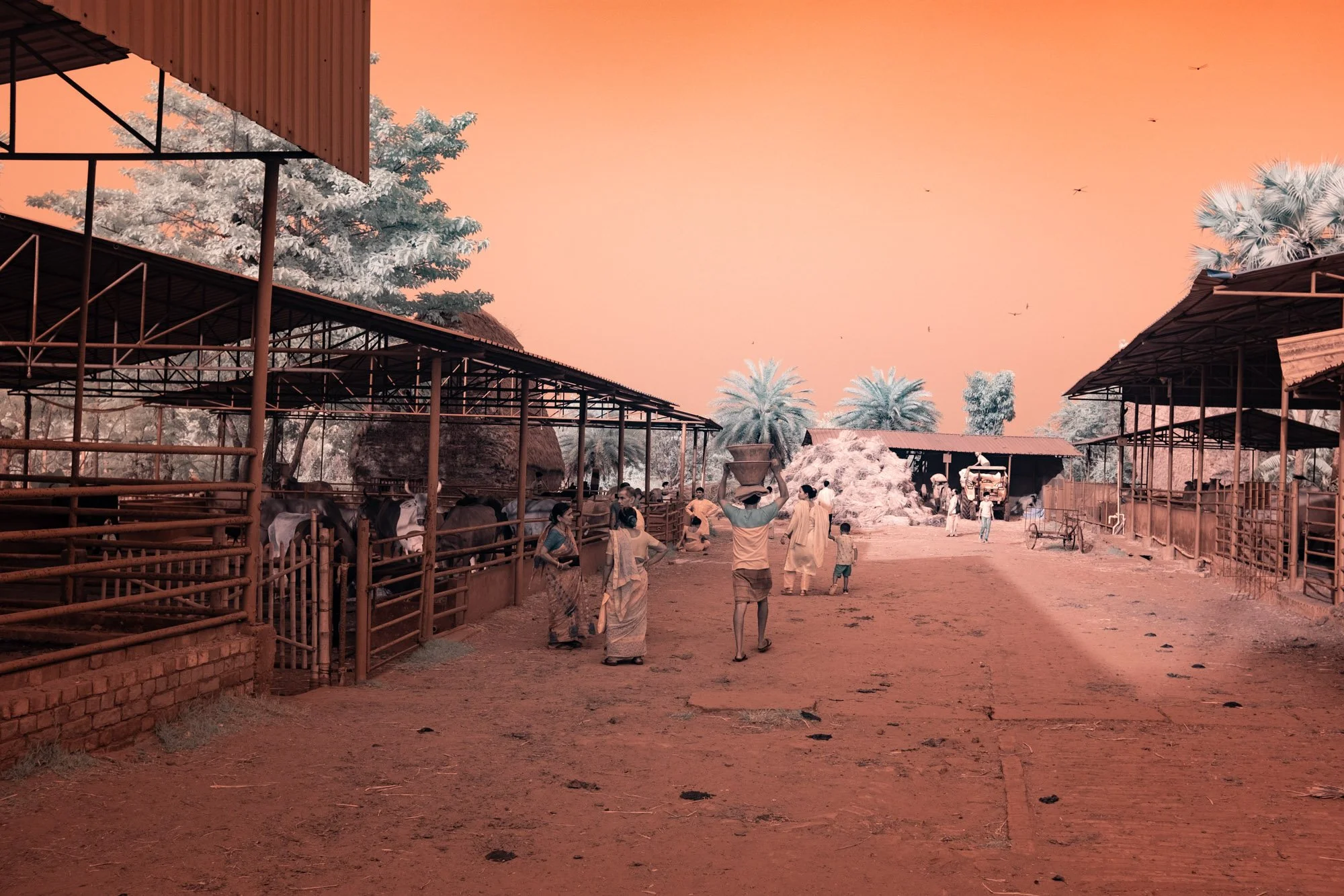 andre-wagner-the-infrared-journey-fine-art-photography-00462.jpg
