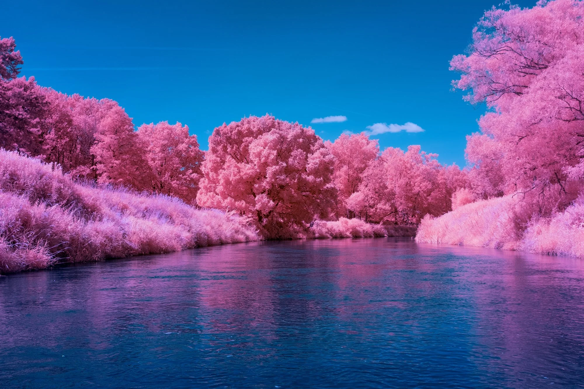 andre-wagner-the-infrared-journey-fine-art-photography-00761.jpg