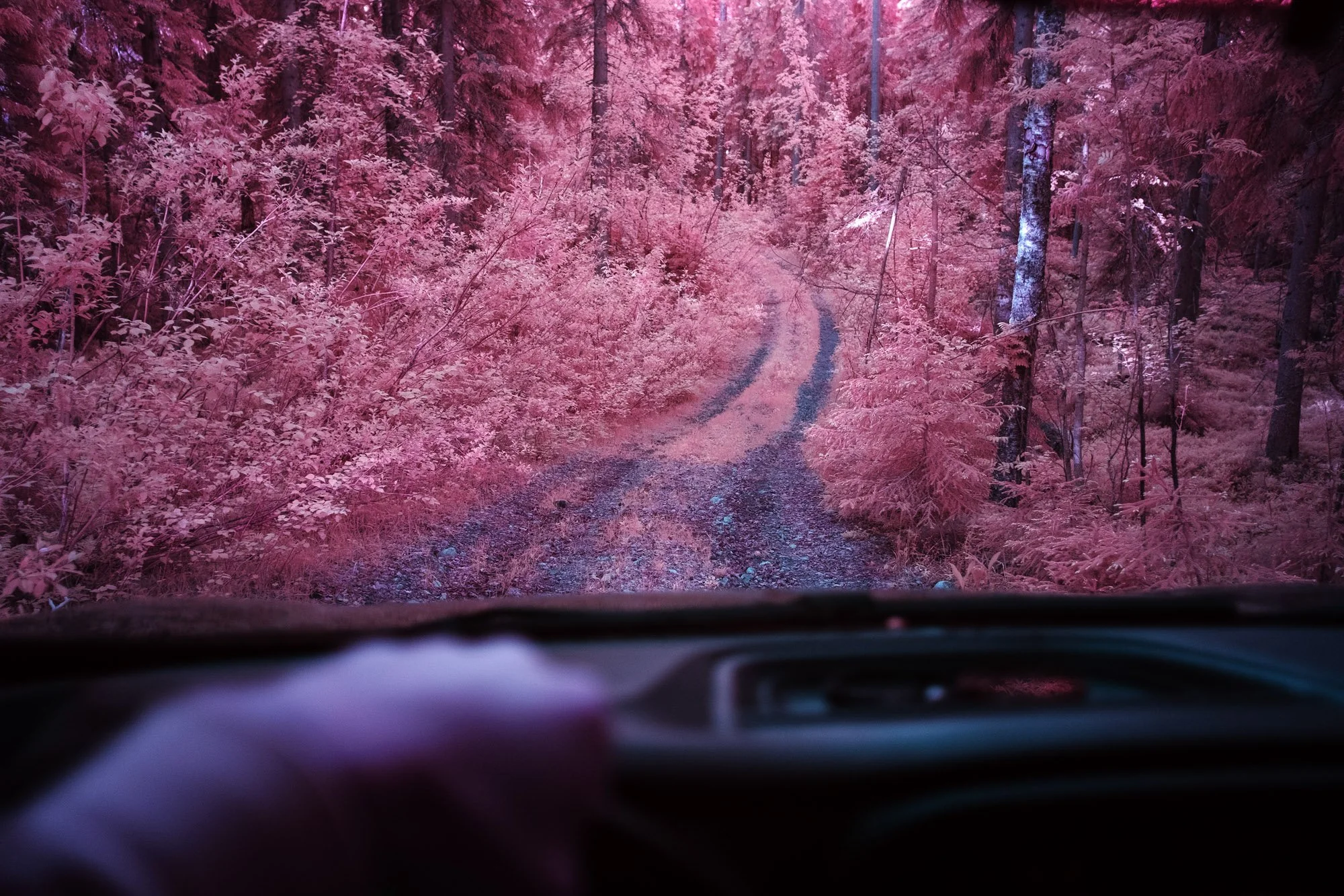 andre-wagner-the-infrared-journey-fine-art-photography-00339.jpg