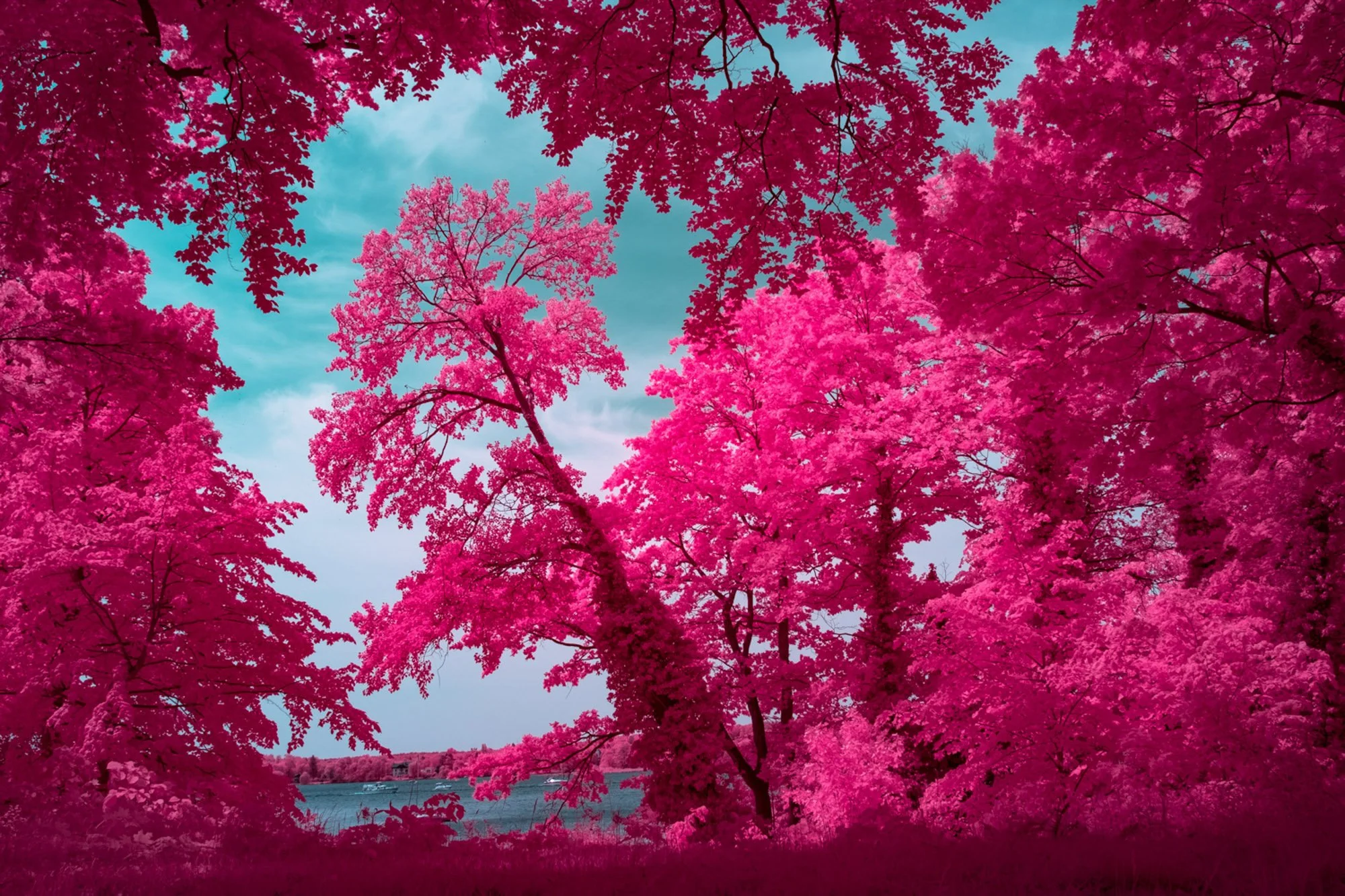 andre-wagner-the-infrared-journey-fine-art-photography-00580.jpg