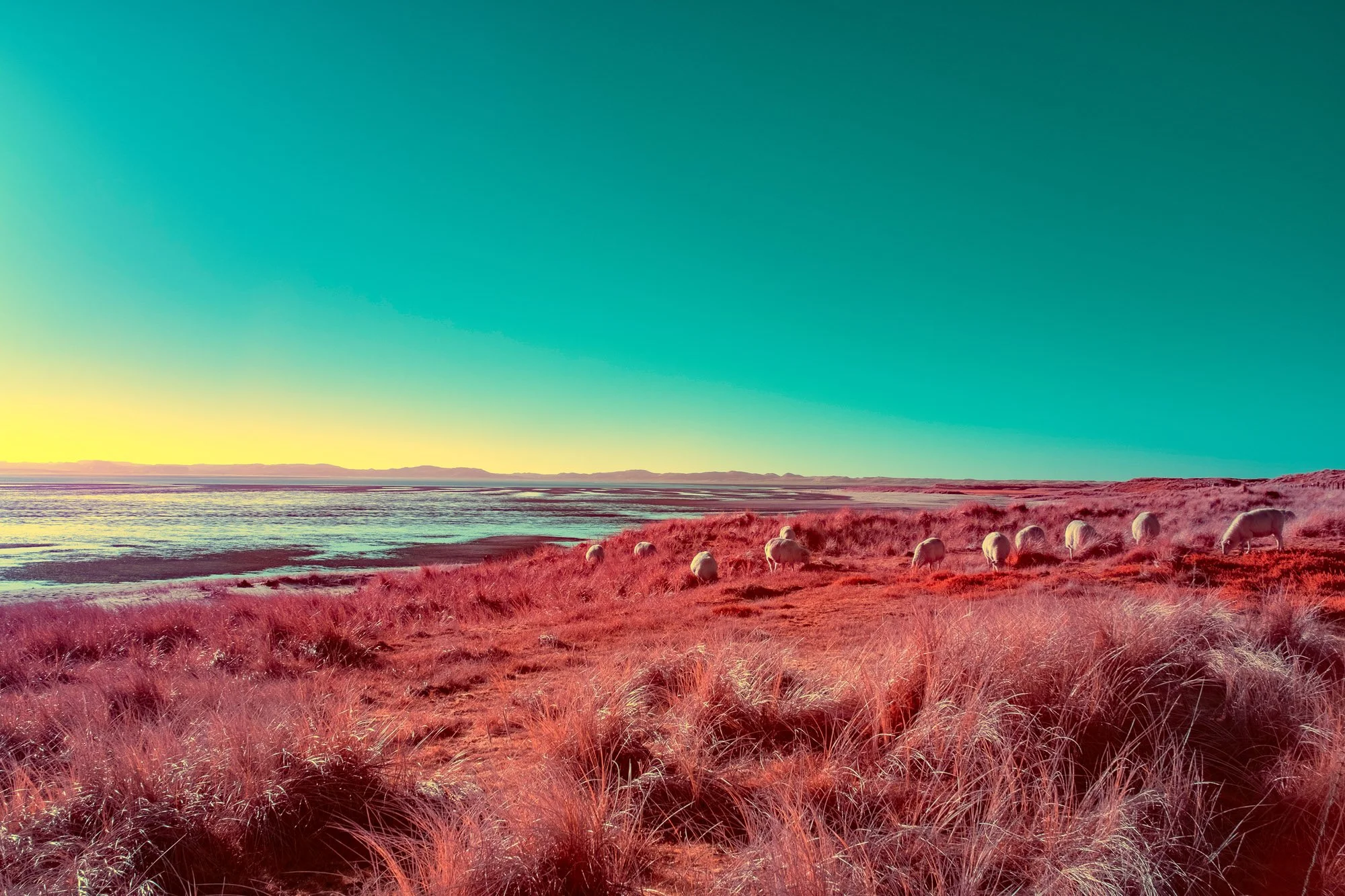 andre-wagner-the-infrared-journey-fine-art-photography-00662.jpg