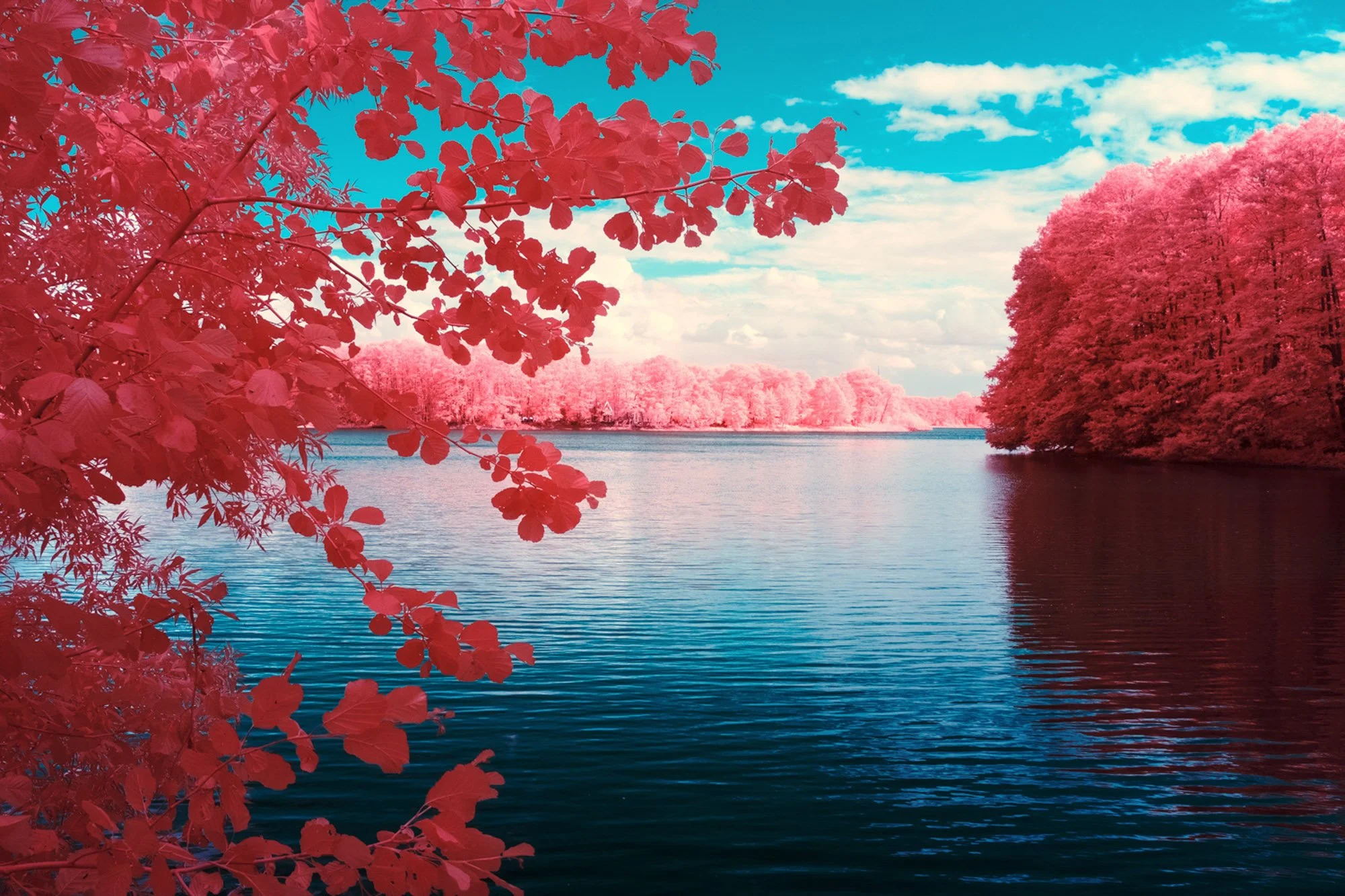 andre-wagner-the-infrared-journey-fine-art-photography-00255.jpg