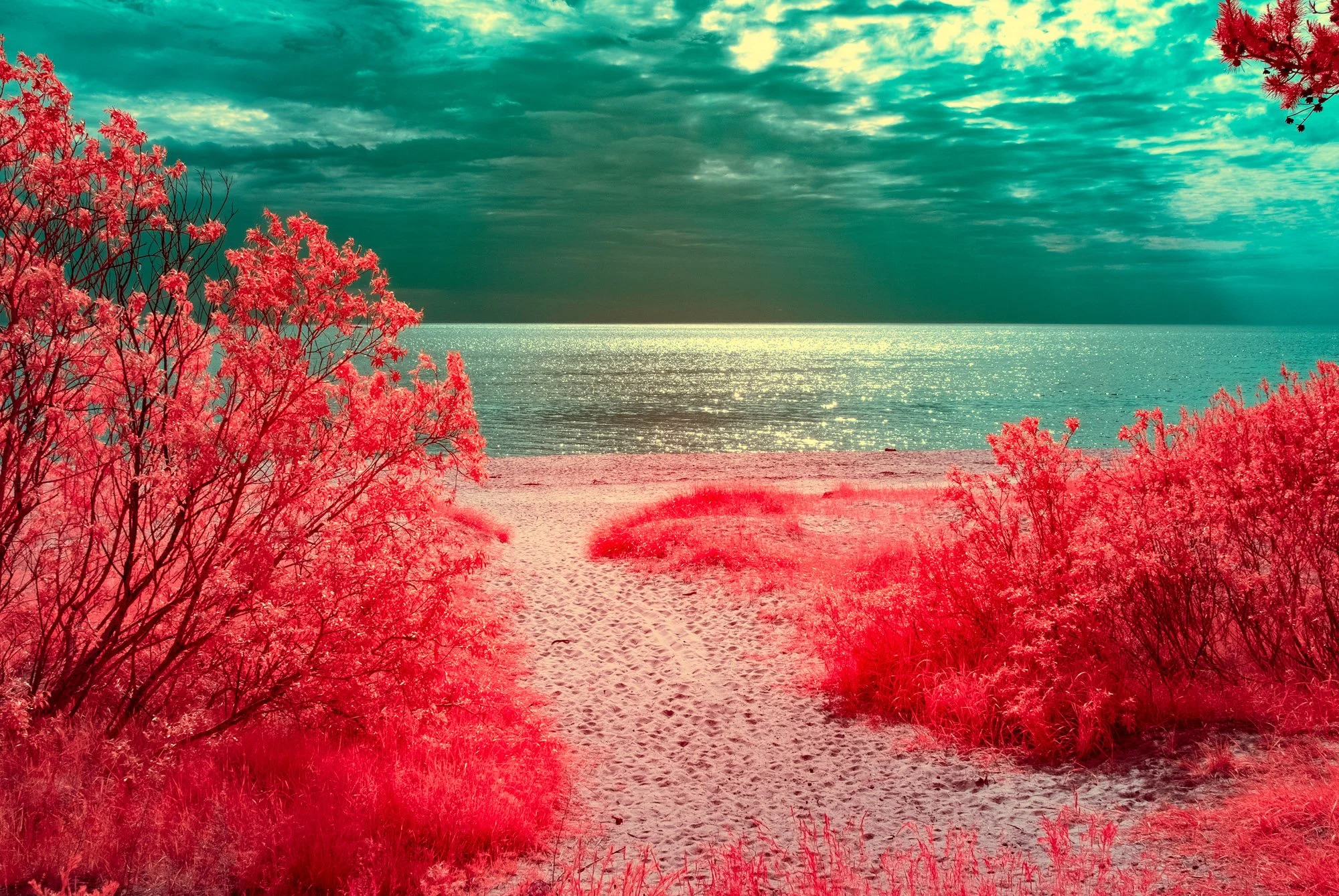 andre-wagner-the-infrared-journey-fine-art-photography-00309.jpg