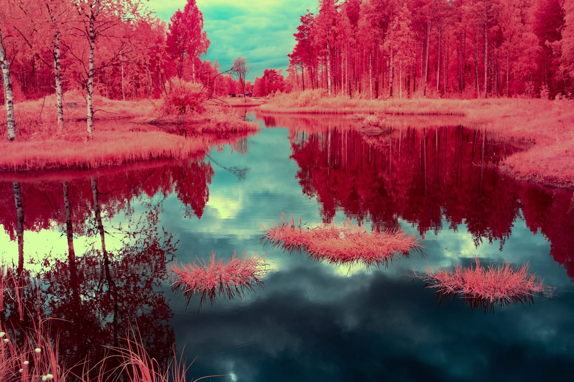 andre-wagner-the-infrared-journey-fine-art-photography-00326.jpg