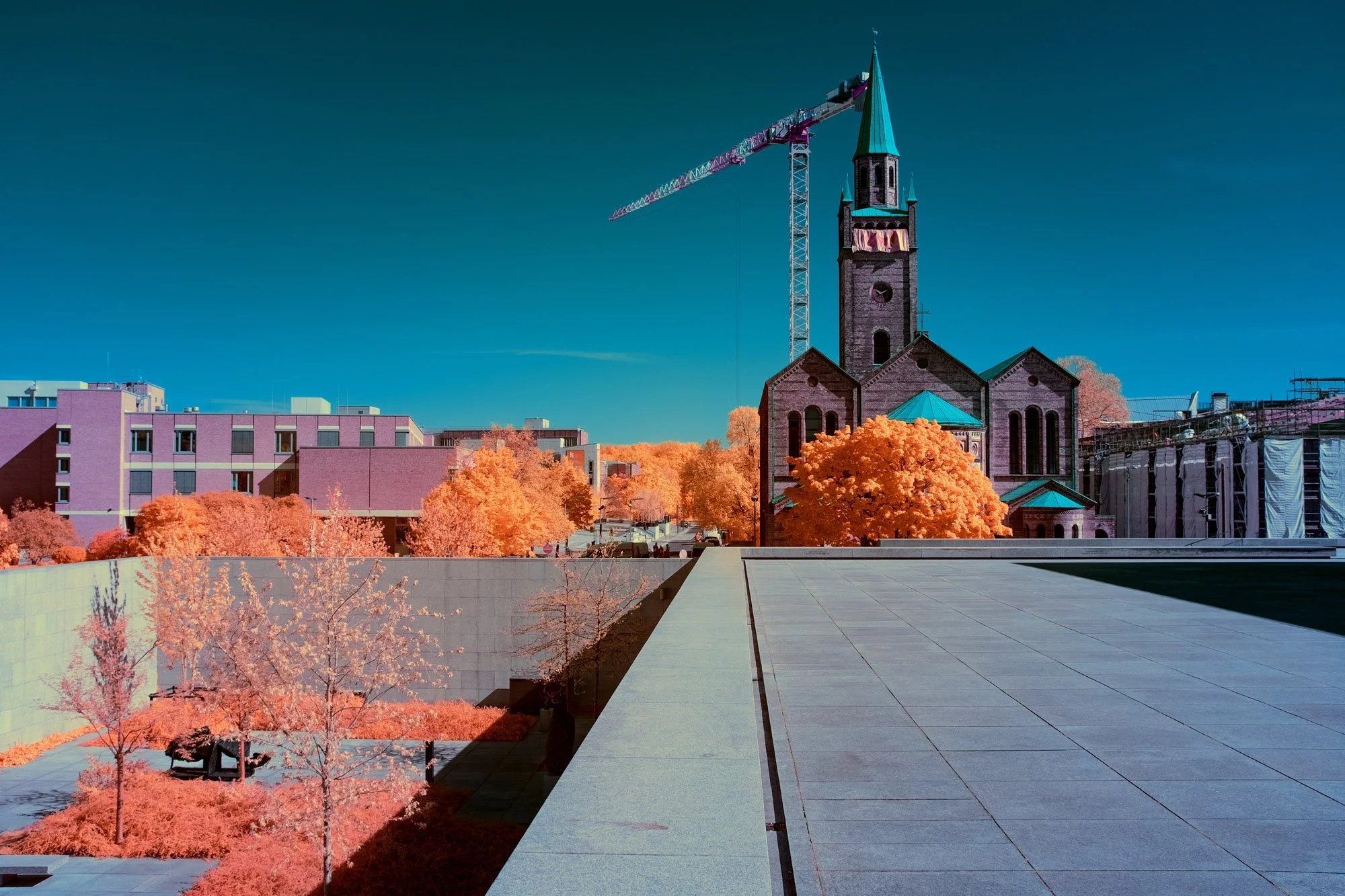 andre-wagner-the-infrared-journey-fine-art-photography-00776.jpg