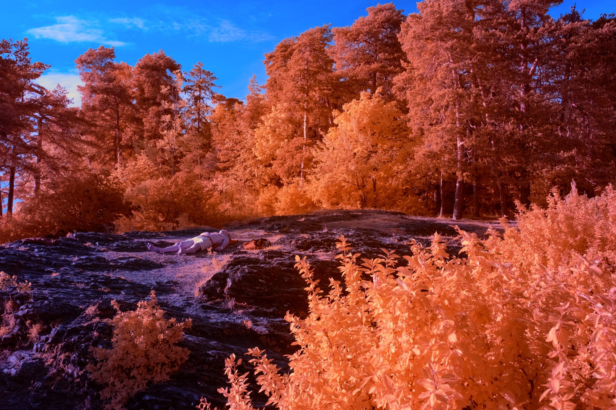andre-wagner-the-infrared-journey-fine-art-photography-00671.jpg