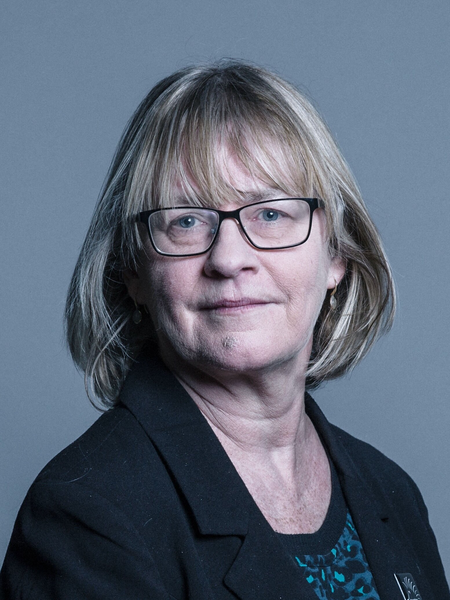 Baroness Bonham-Carter, Vice-Chair