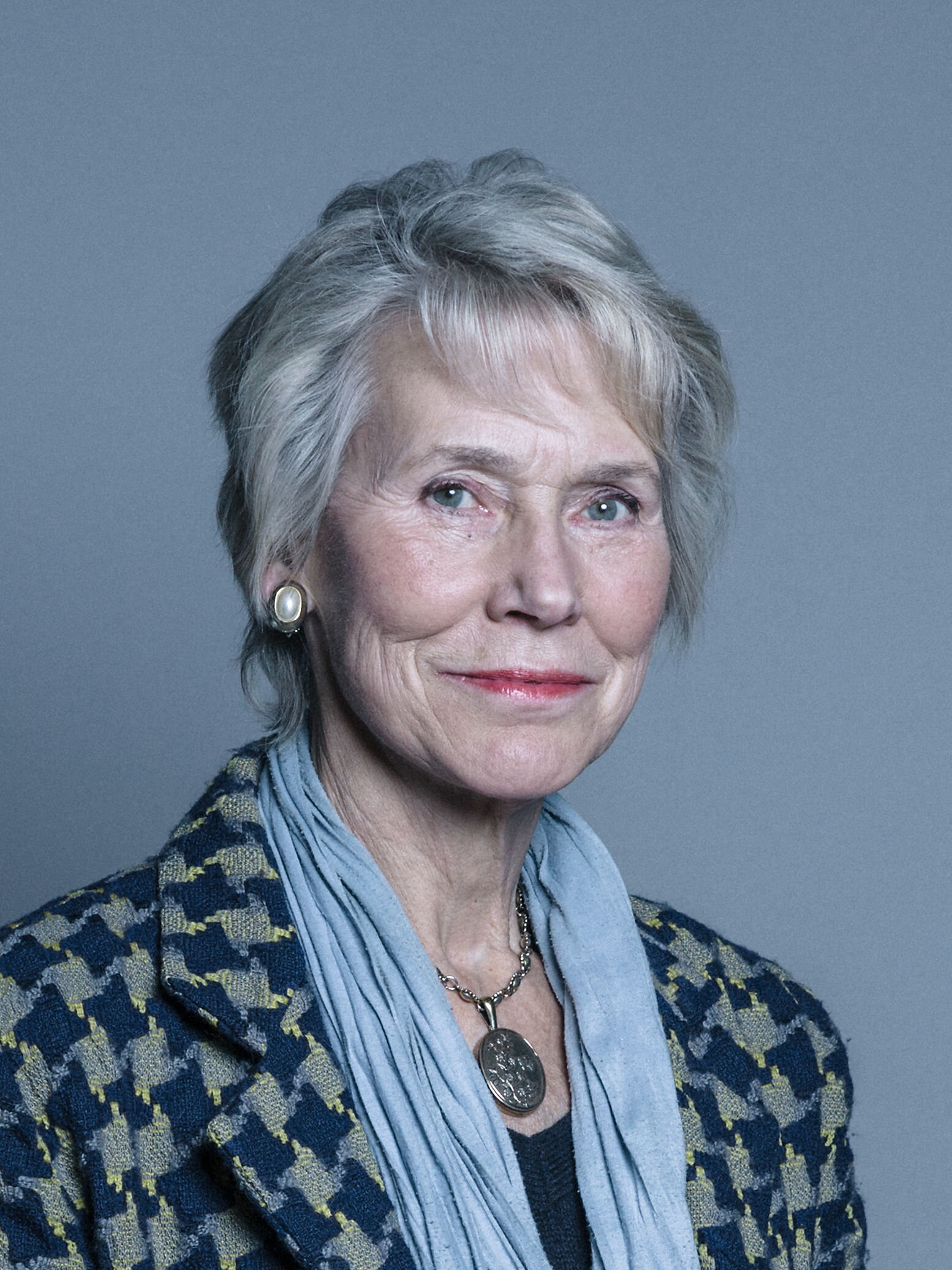 Baroness Bottomley, Vice-Chair