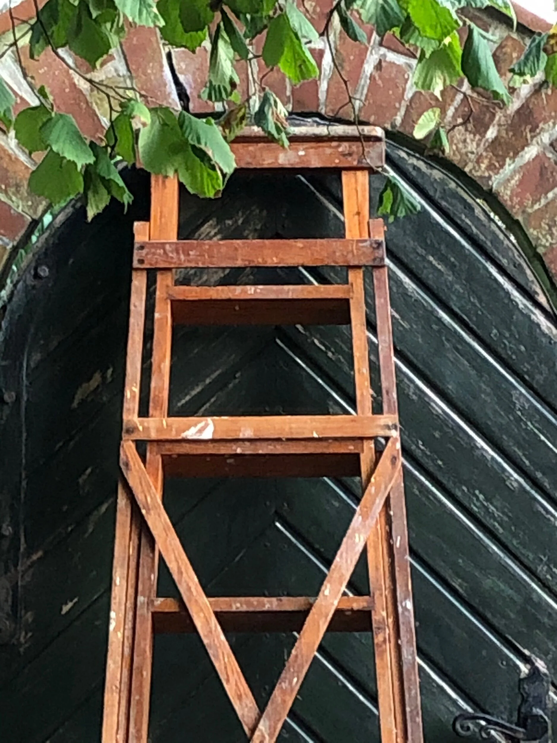 08E408C8-A1D4-4137-87A2-EF427154C698