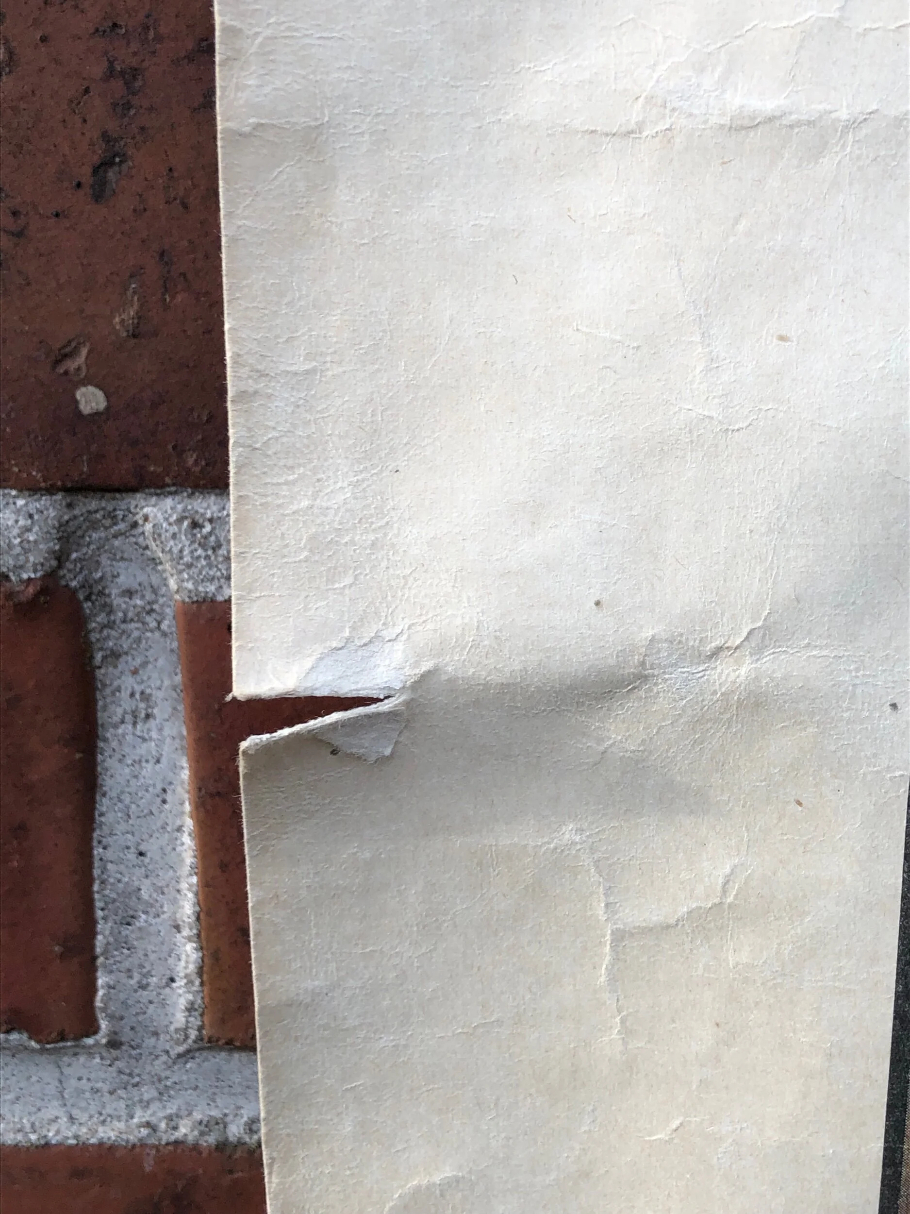 B600BB42-0CF5-4DFD-8683-4D6D6FAE52B4