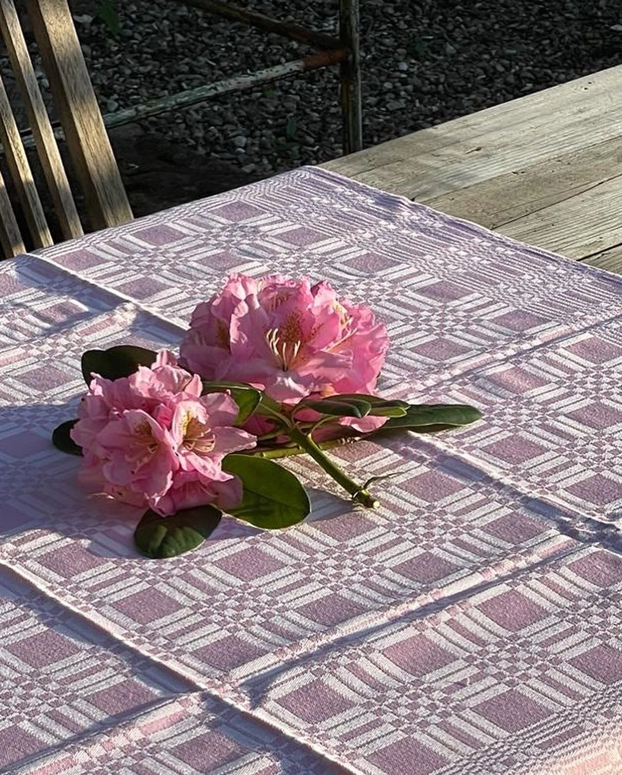 E00E8582-E112-4DA5-9556-C60D5D782C93