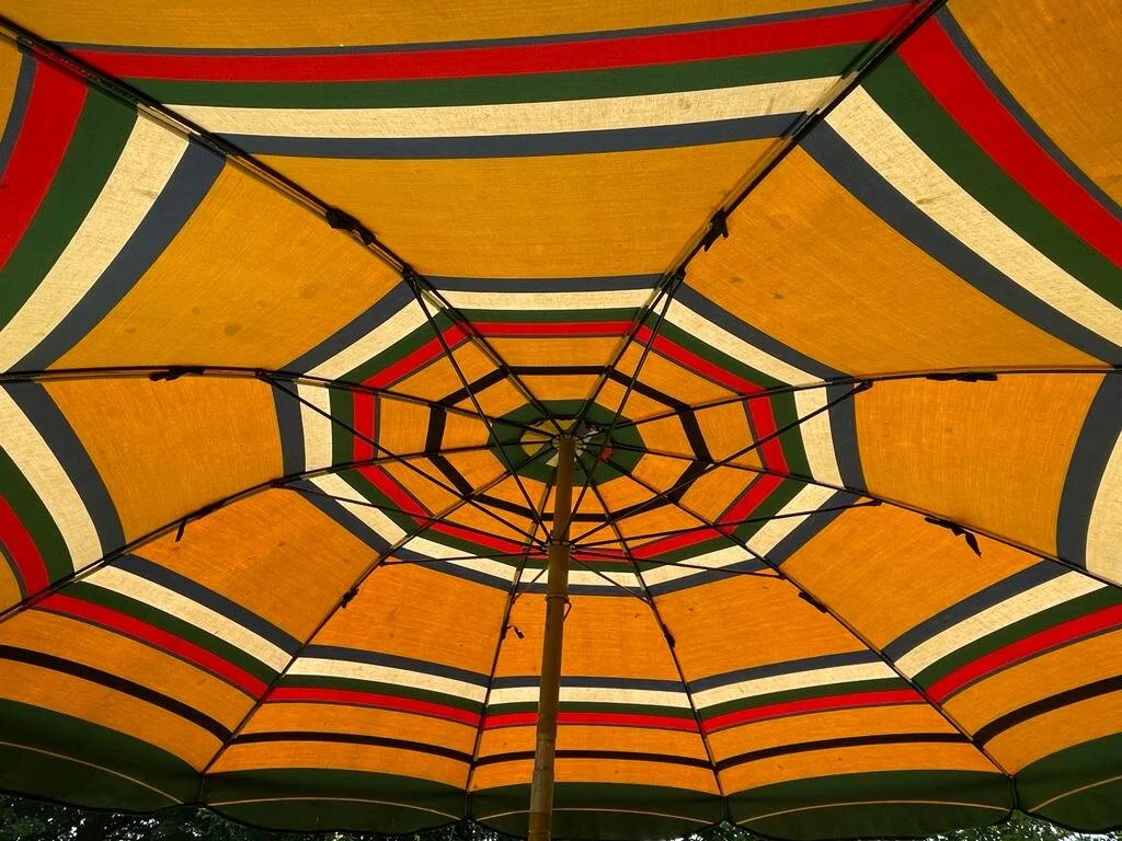 DEF6FFA6-4D06-4E99-B966-B4901797CA8E