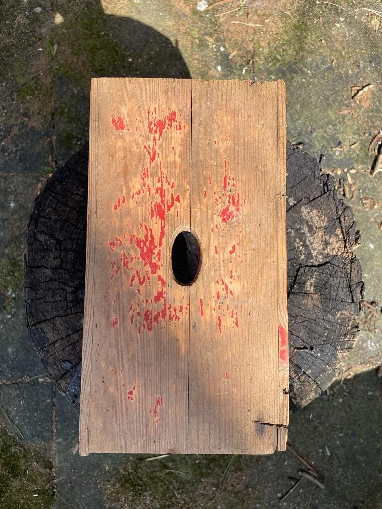 E3C125DB-B52E-4BEA-813C-1109E1E8D192