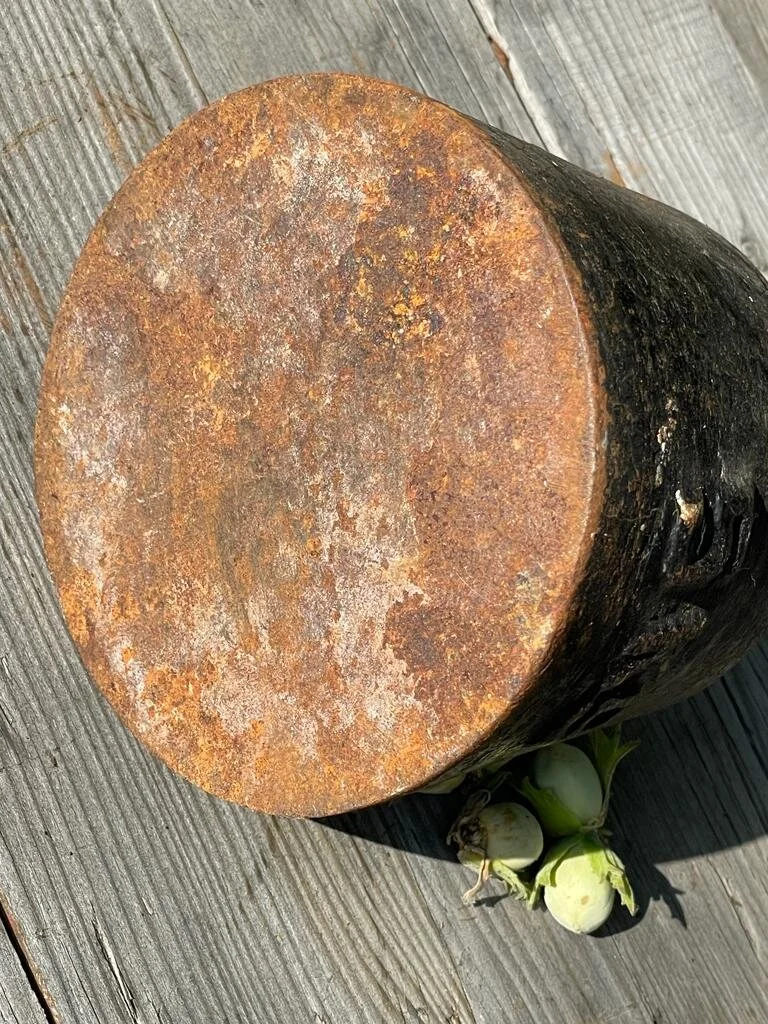 8A0FA27B-ABD2-46DD-ABF5-ED0F84DFCA01