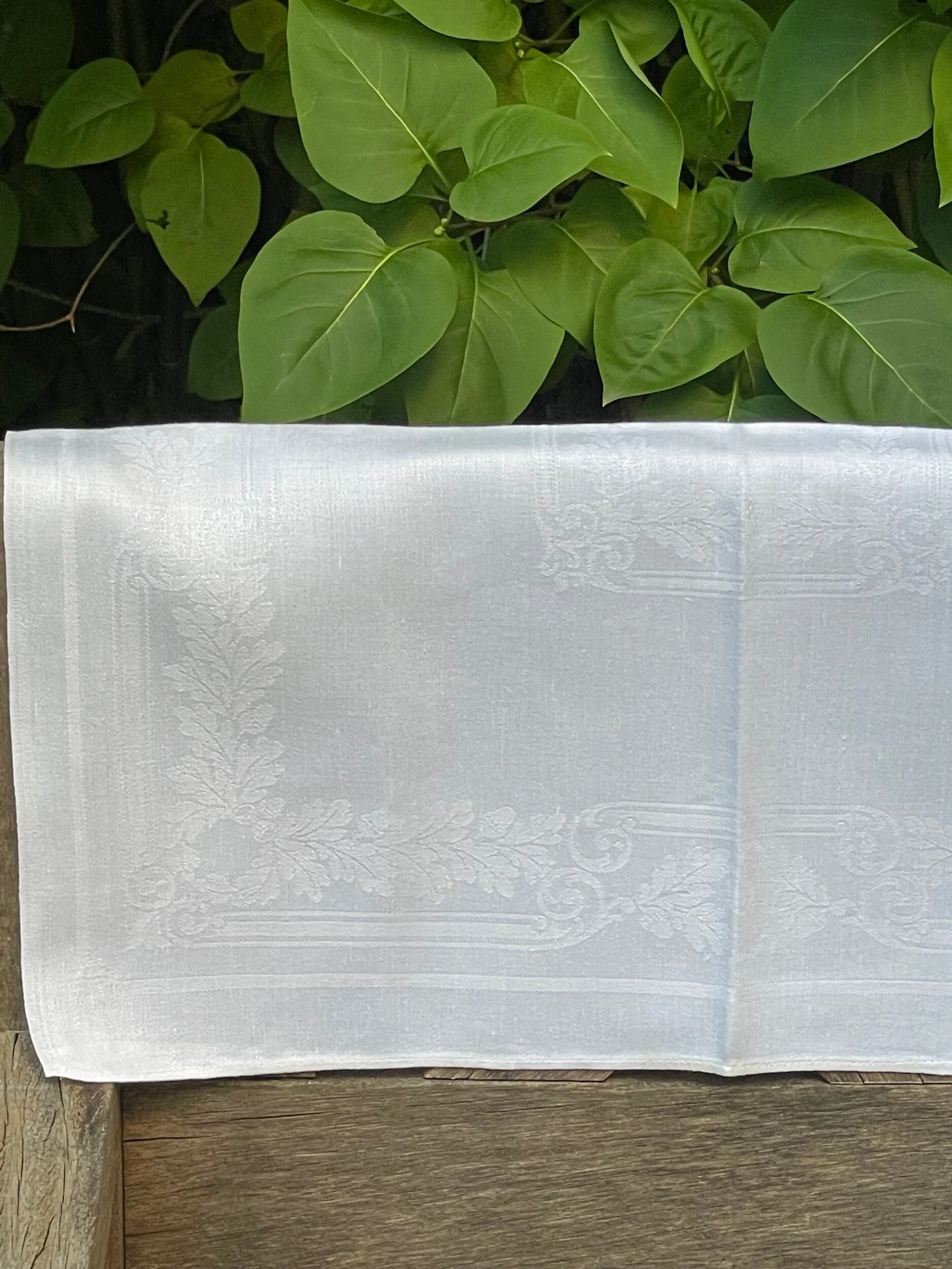 5D768B17-C081-4126-8AEB-D1313453D02F