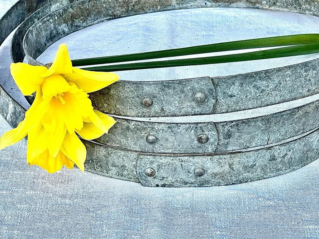 DA7DAA86-84EE-4B2B-8DCC-7A48BAF55730