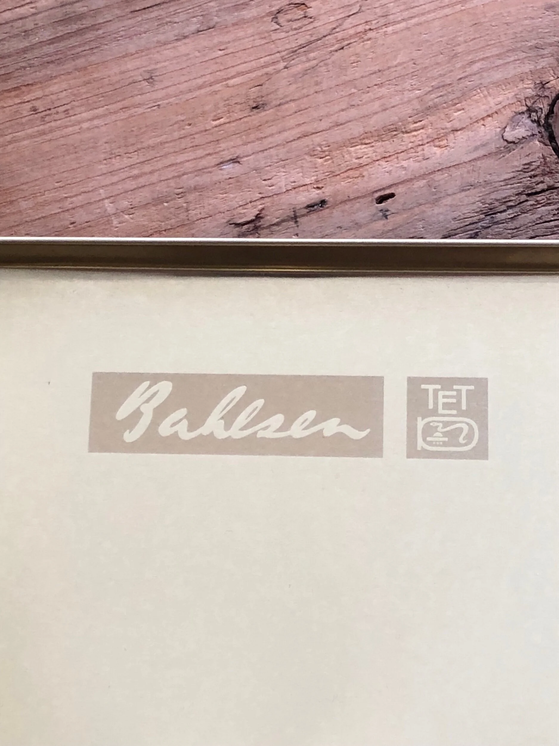 E035C28A-D586-4E54-8DF0-4DBD1ADC815A