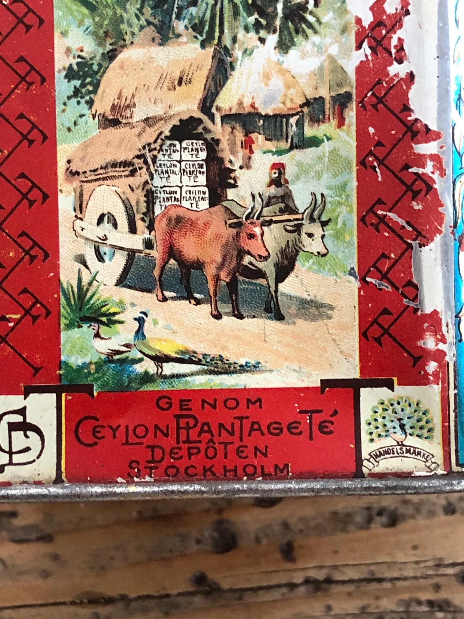 87ED7ADA-A743-438C-BA76-0E61C4941282