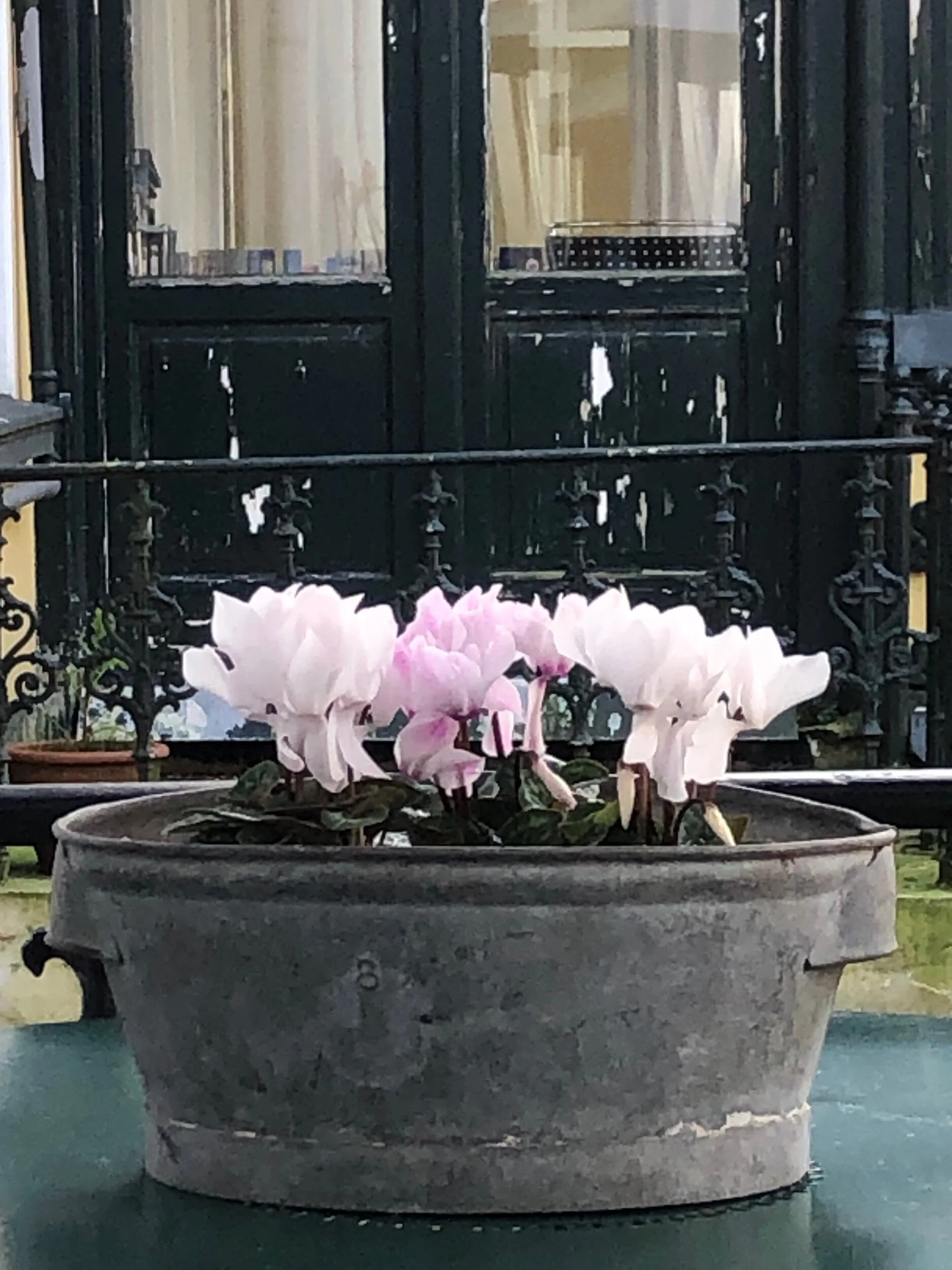 1B48A2D2-C3C4-4300-81F2-E4AA5B3E7EBE