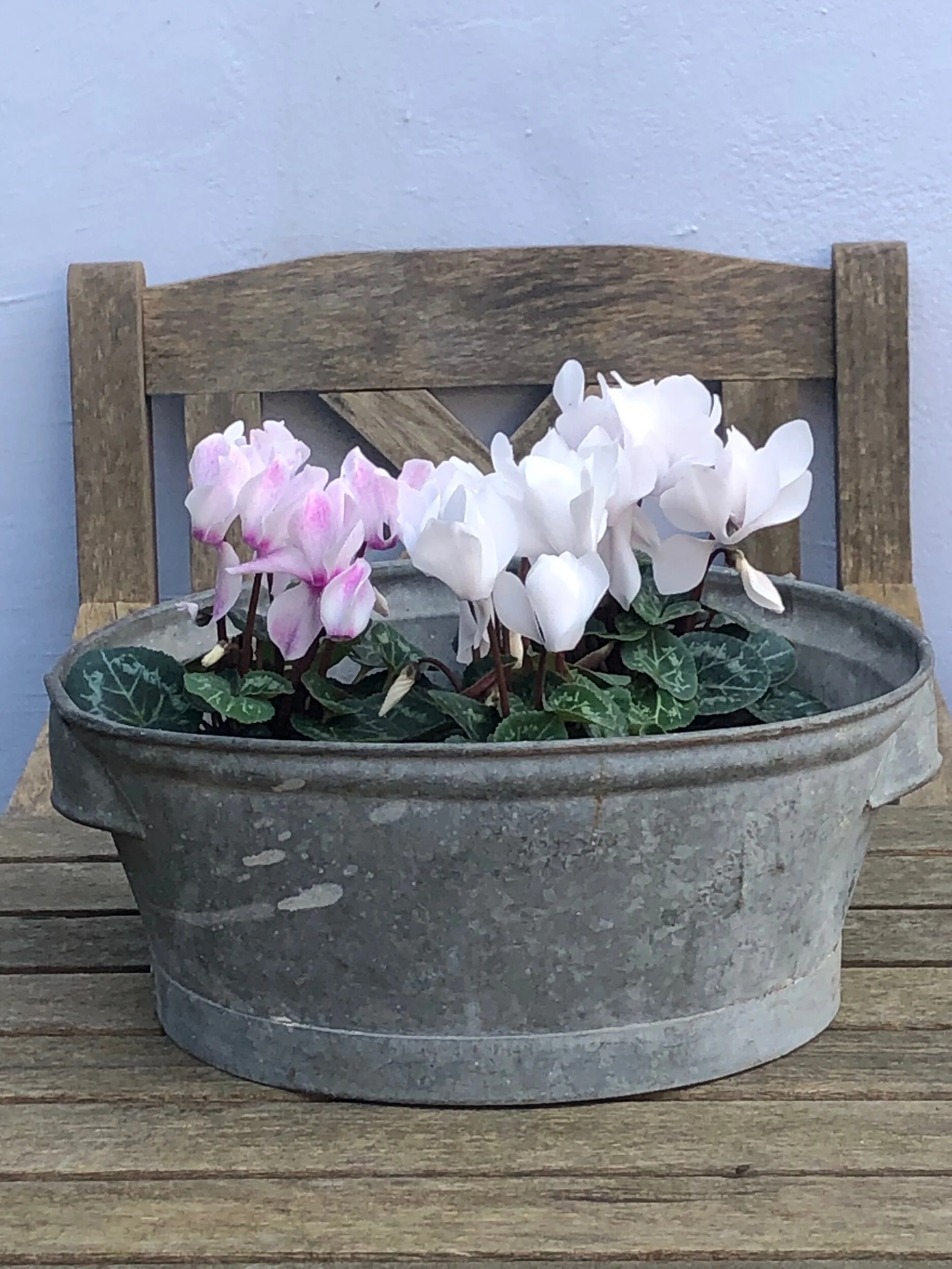 3D5E2095-5E9B-4738-B79A-01FEE664E02F