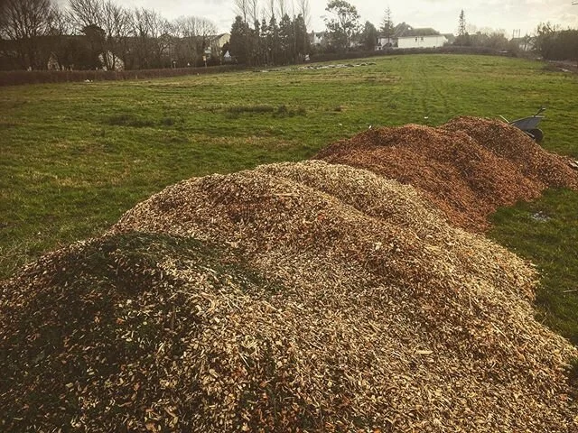 Man&rsquo;s got chip! Big love to all our local tree surgeons hooking us up with the Woodchip for our paths and compost! #growsummitgood
