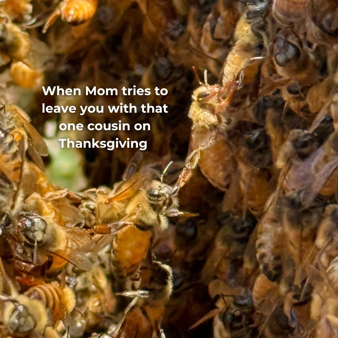 This bee is me this Thanksgiving 😩 😅 Anyone else?

Enjoy our BLACK FRIDAY SALE now until 12/3!
20% off Honey
10% off Gift Boxes
FREE SHIPPING on orders over $60!
Link in bio to shop 🥰 

#HappyThanksgiving #SagHarborHoney #BuzzingWithGratitude #Bee