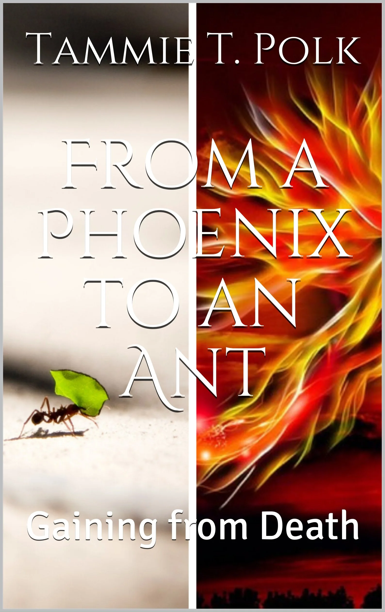 Phoenix Ant 1.jpg