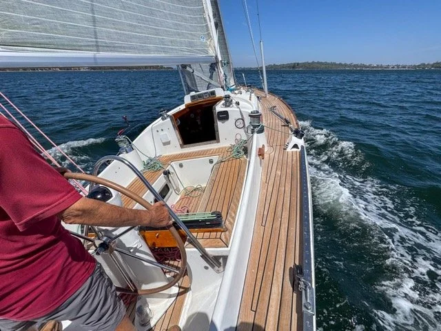 Bella Gioia int-05 Medium.jpeg